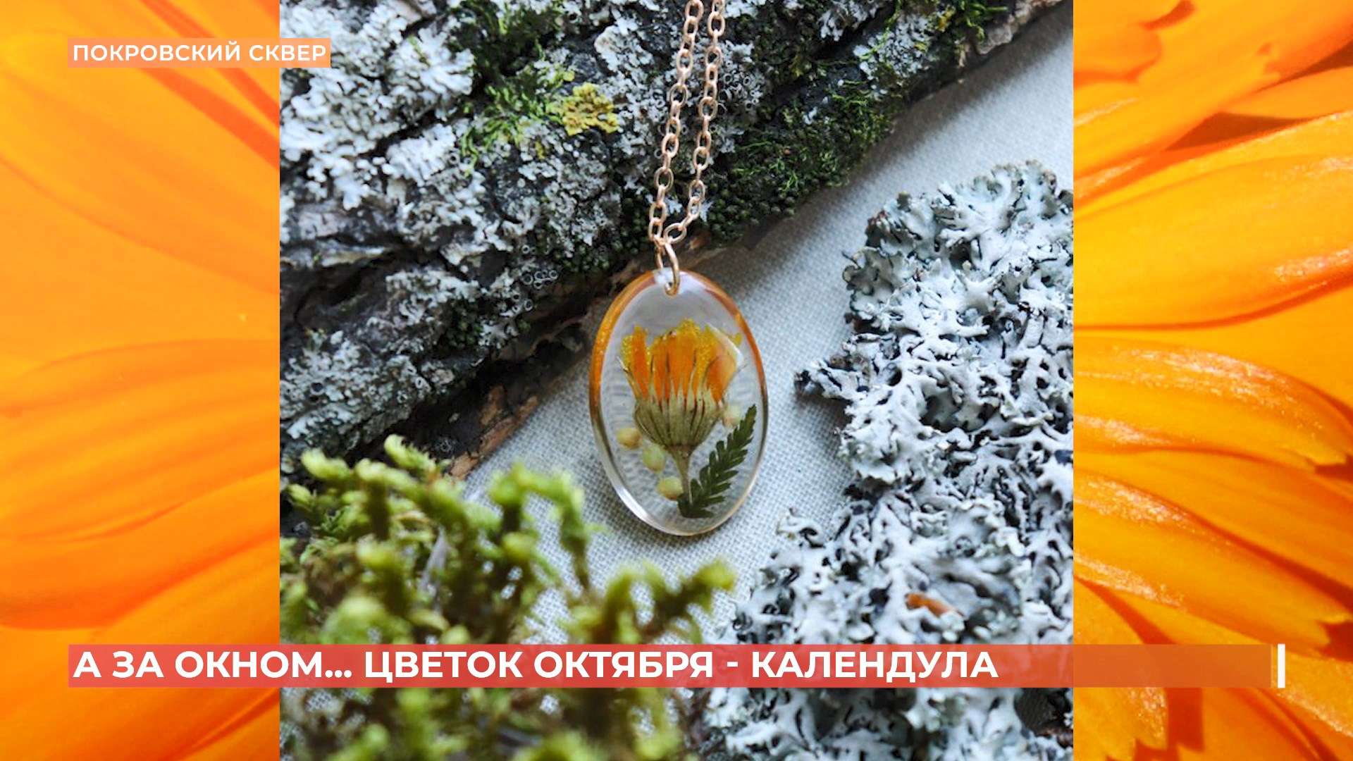 А за окном. 3 октября 2025