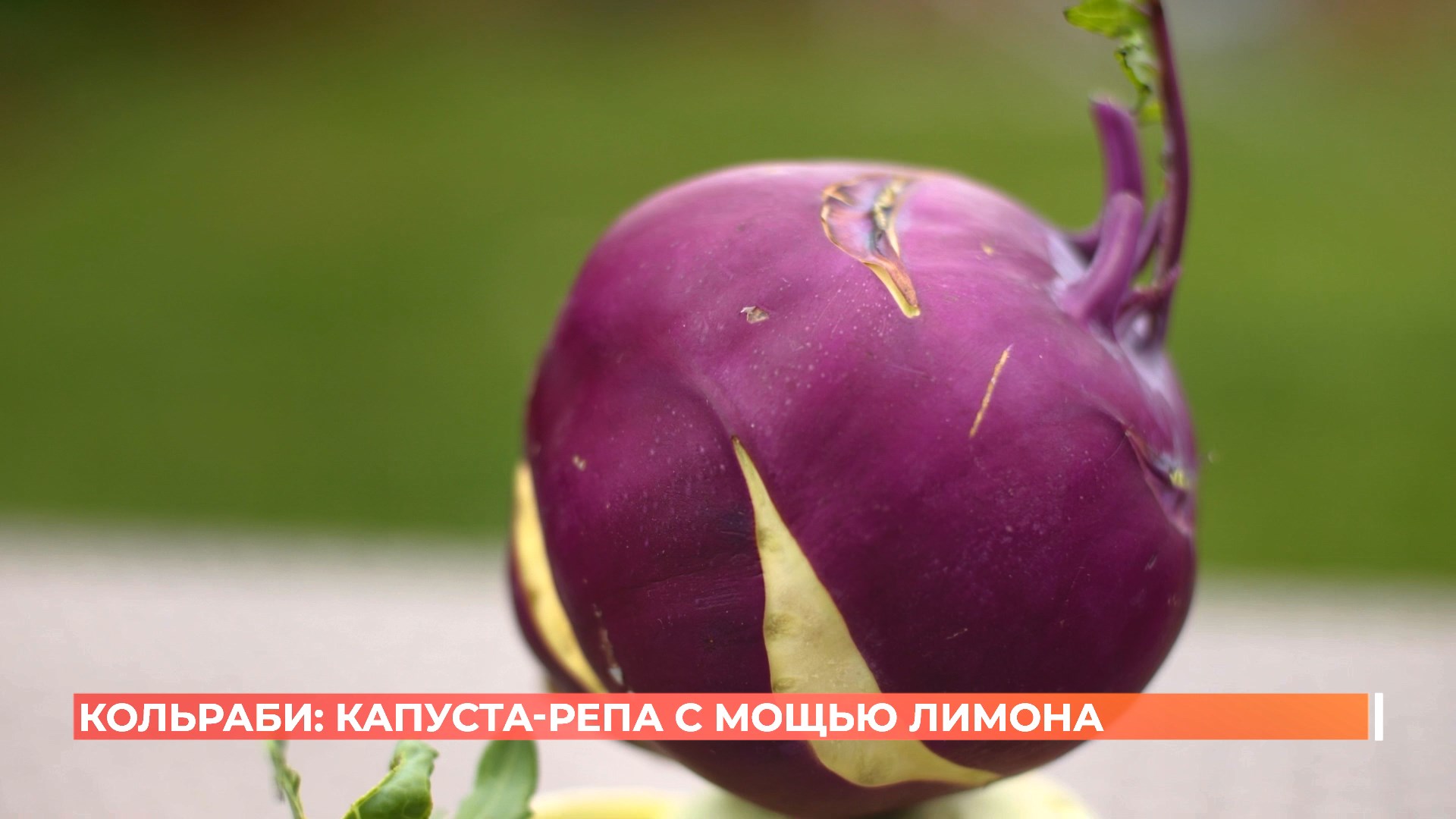 Старый базар. 10 октября 2025