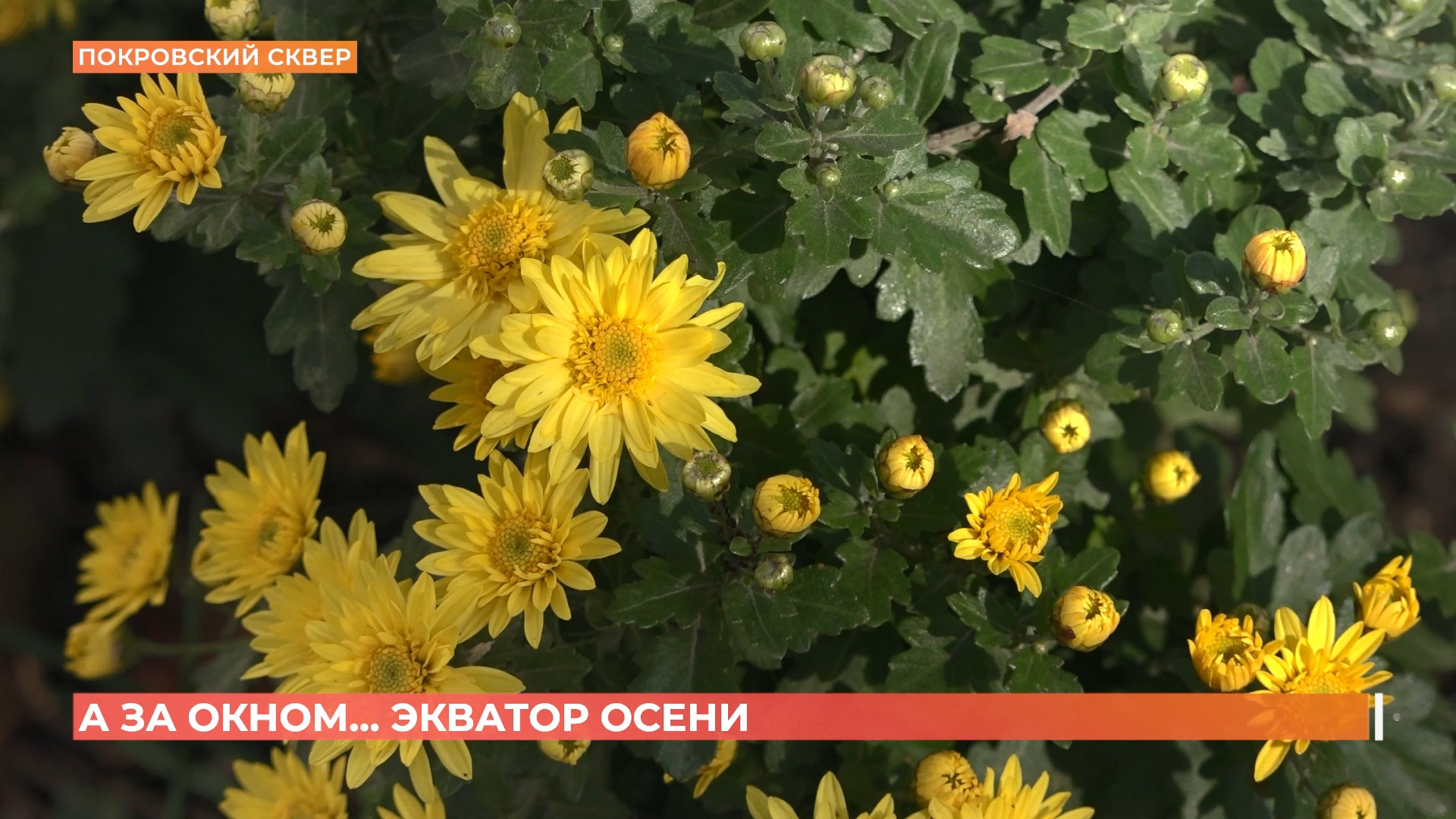 А за окном. 14 октября 2025