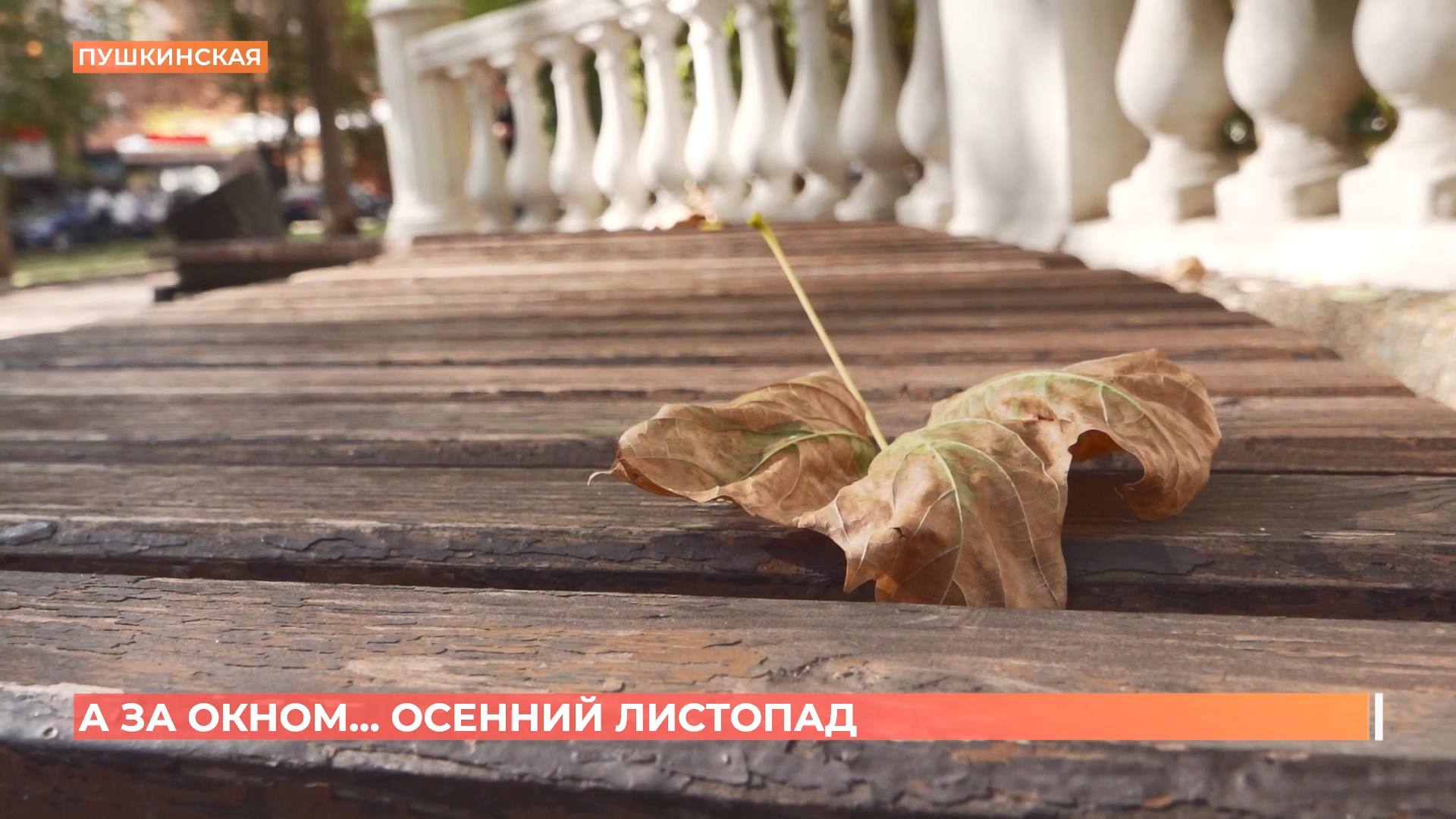 А за окном. 15 октября 2025