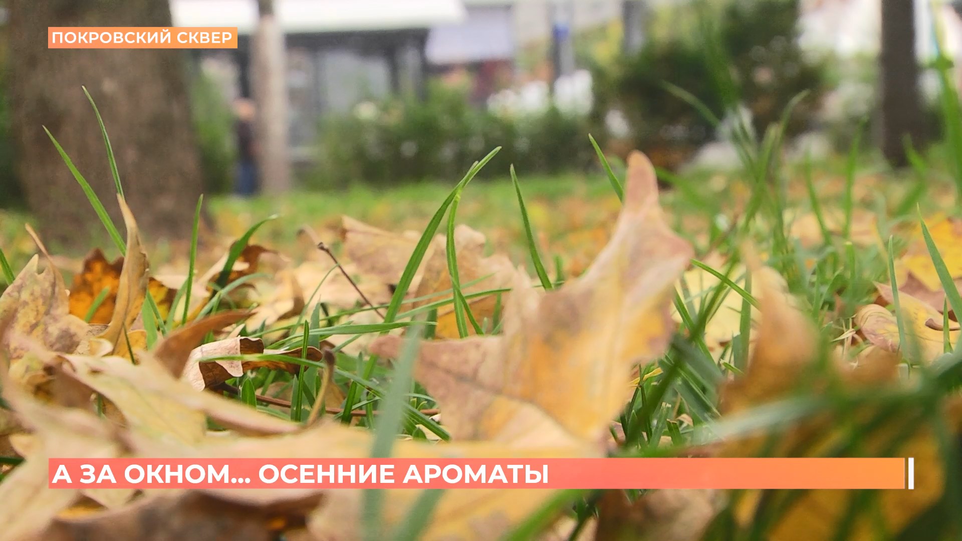 А за окном. 16 октября 2025