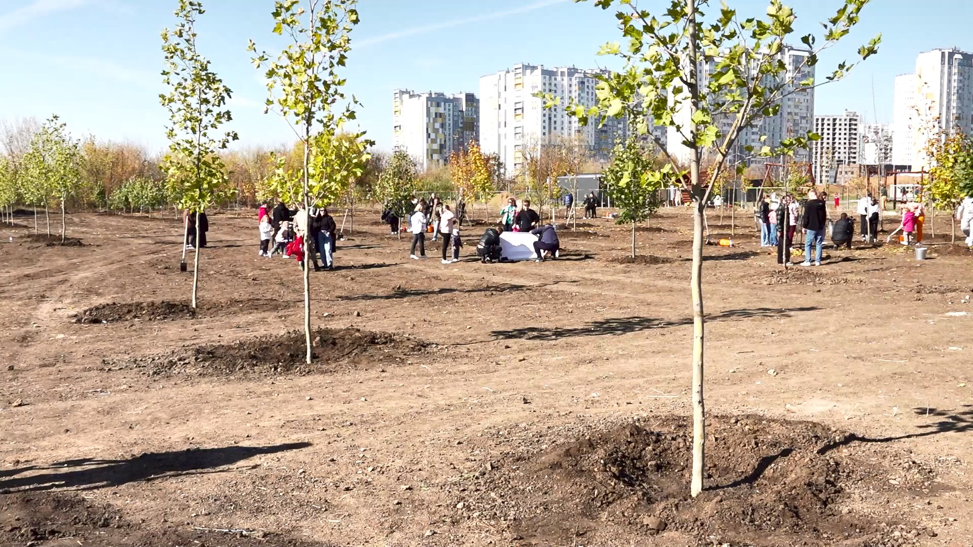 Осенний День древонасаждения в Ростове