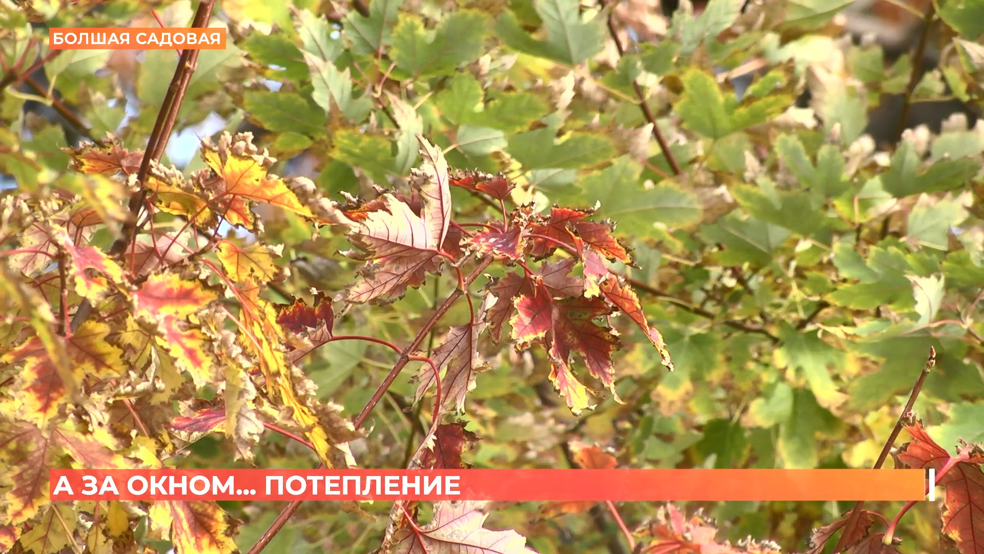 А за окном. 22 октября 2025