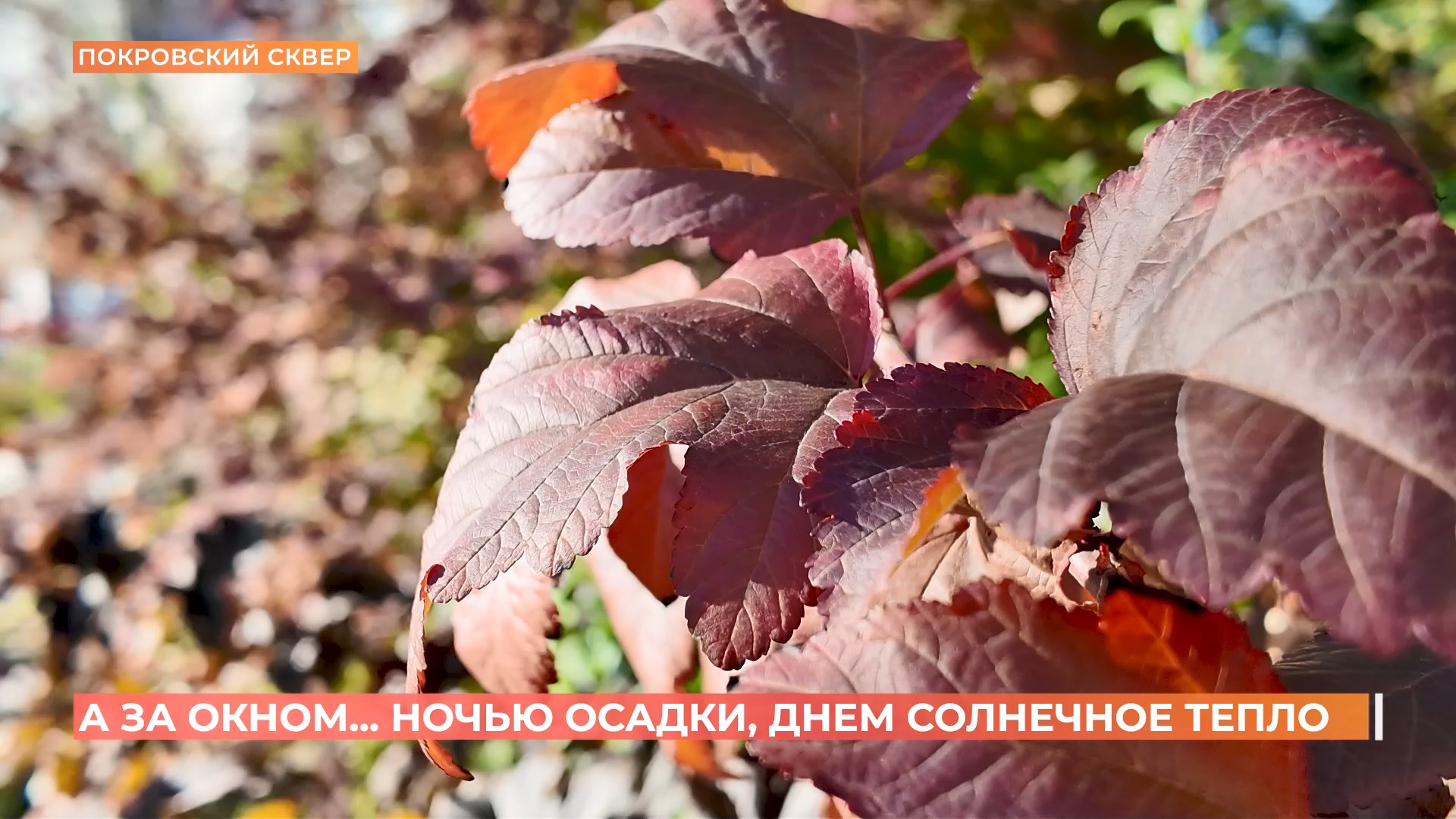 А за окном. 28 октября 2025