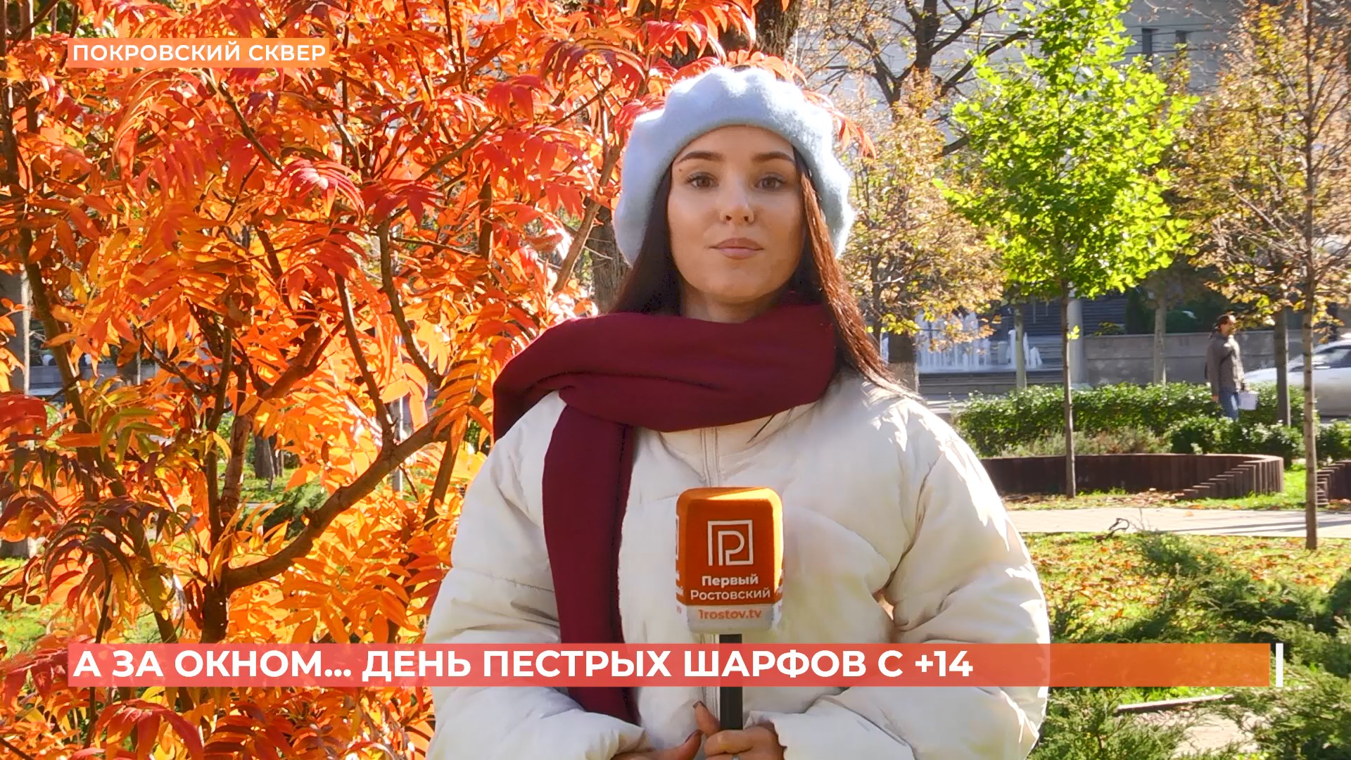 А за окном. 29 октября 2025