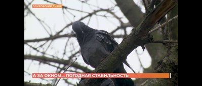 А за окном. 5 ноября 2025