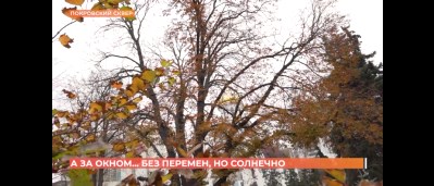 А за окном. 6 ноября 2025