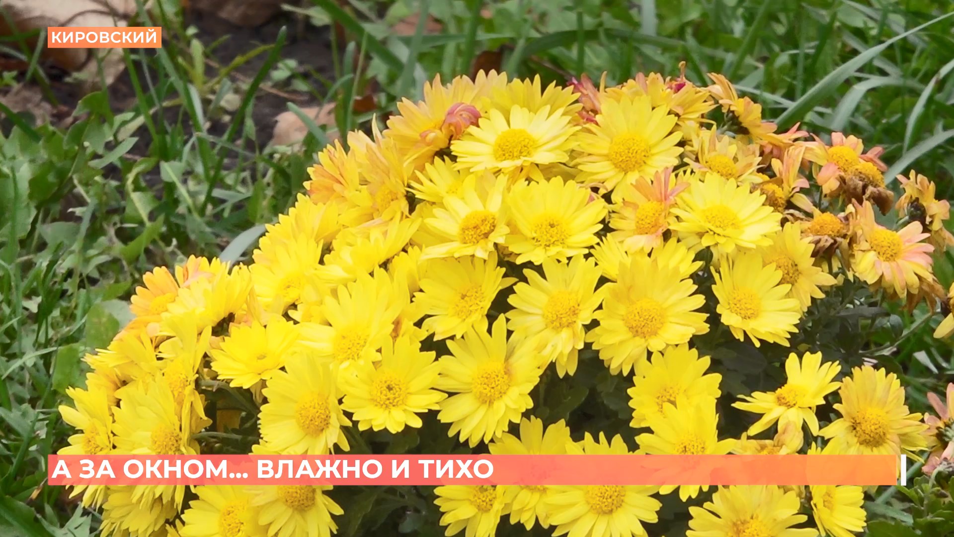 А за окном. 12 ноября 2025