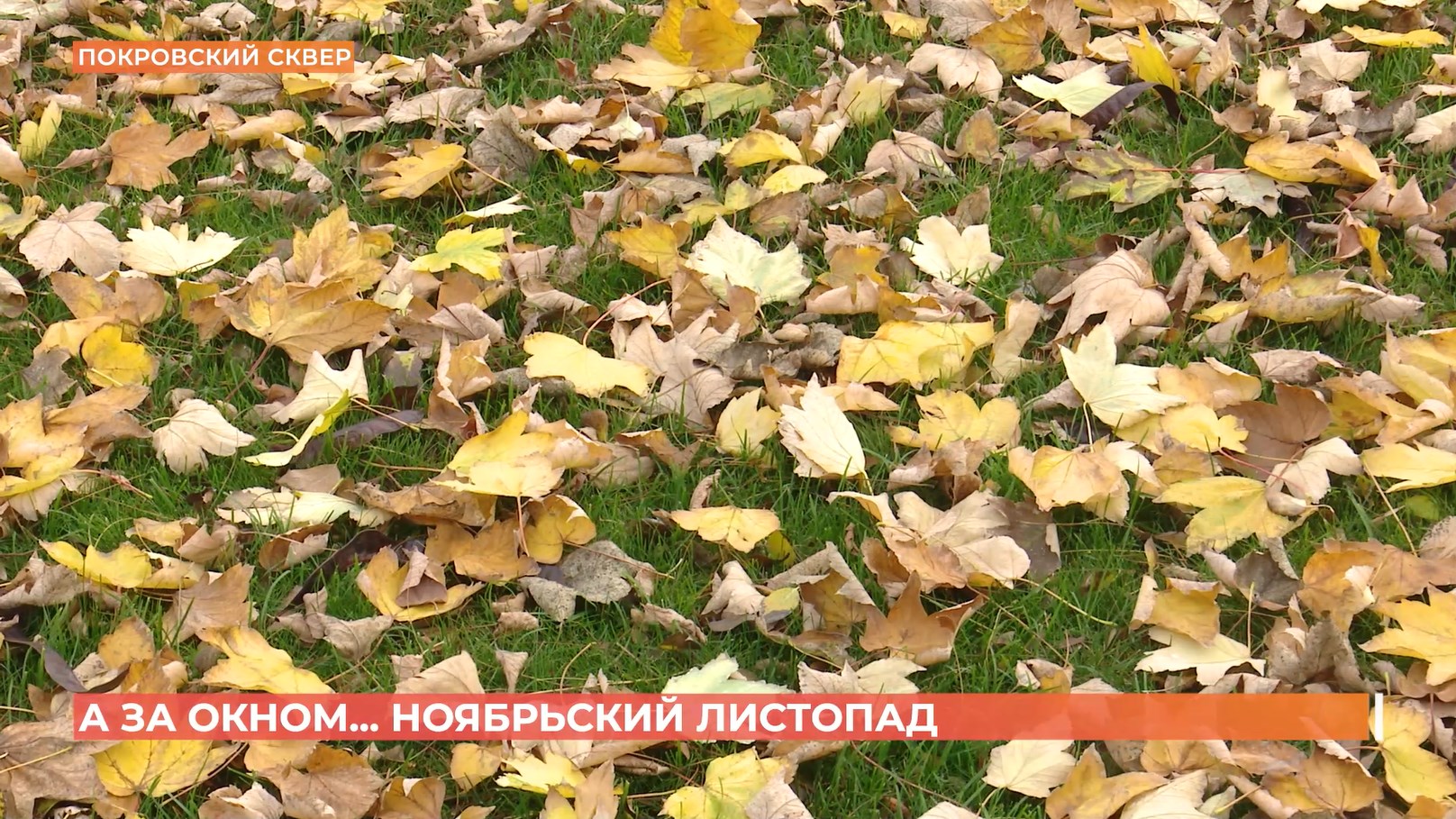 А за окном. 17 ноября 2025