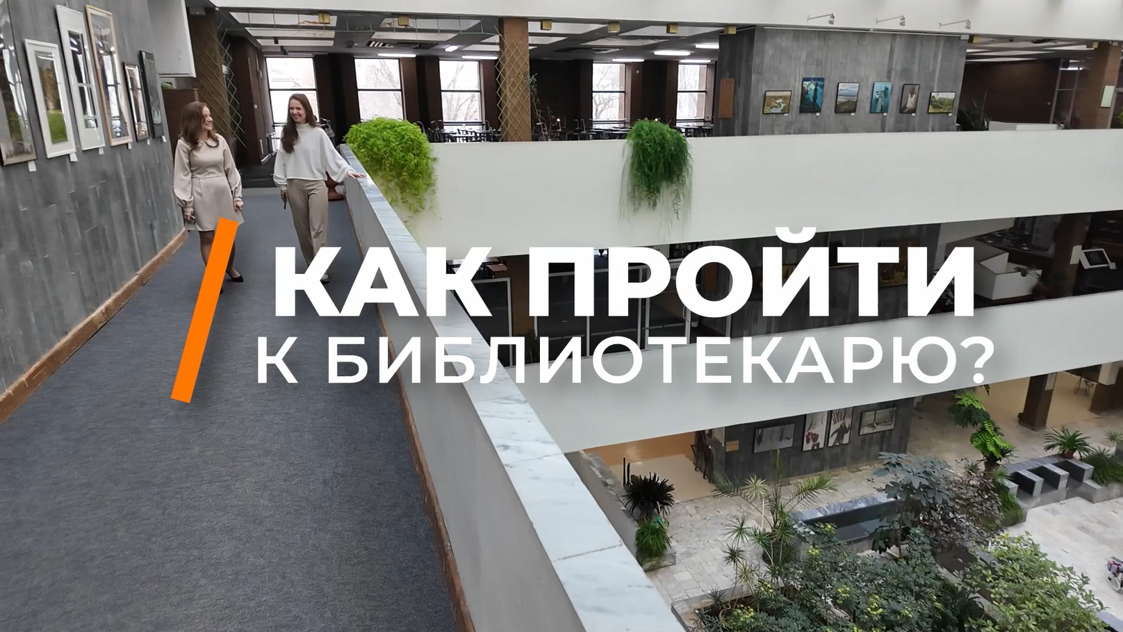 Ростов культурный. Как пройти к библиотекарю?