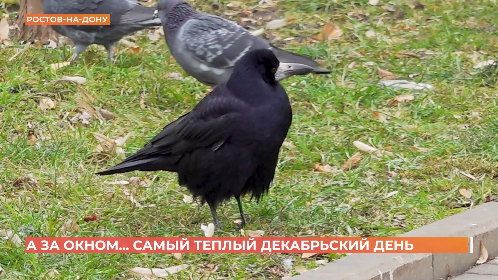 А за окном. 18 декабря 2025