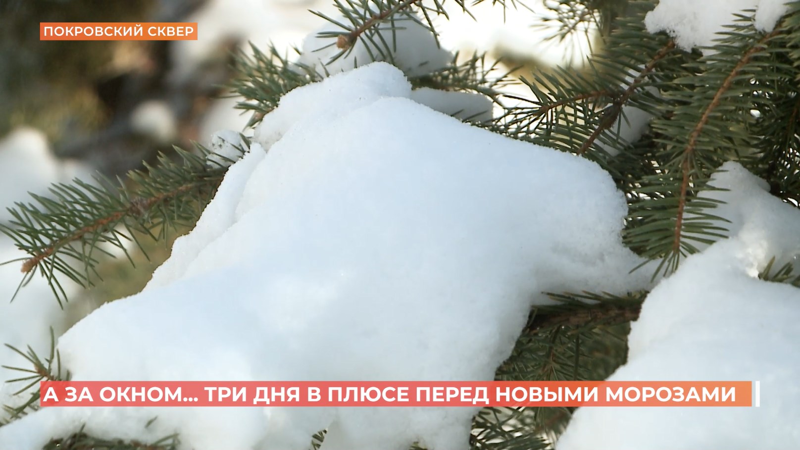 А за окном. 28 января 2026