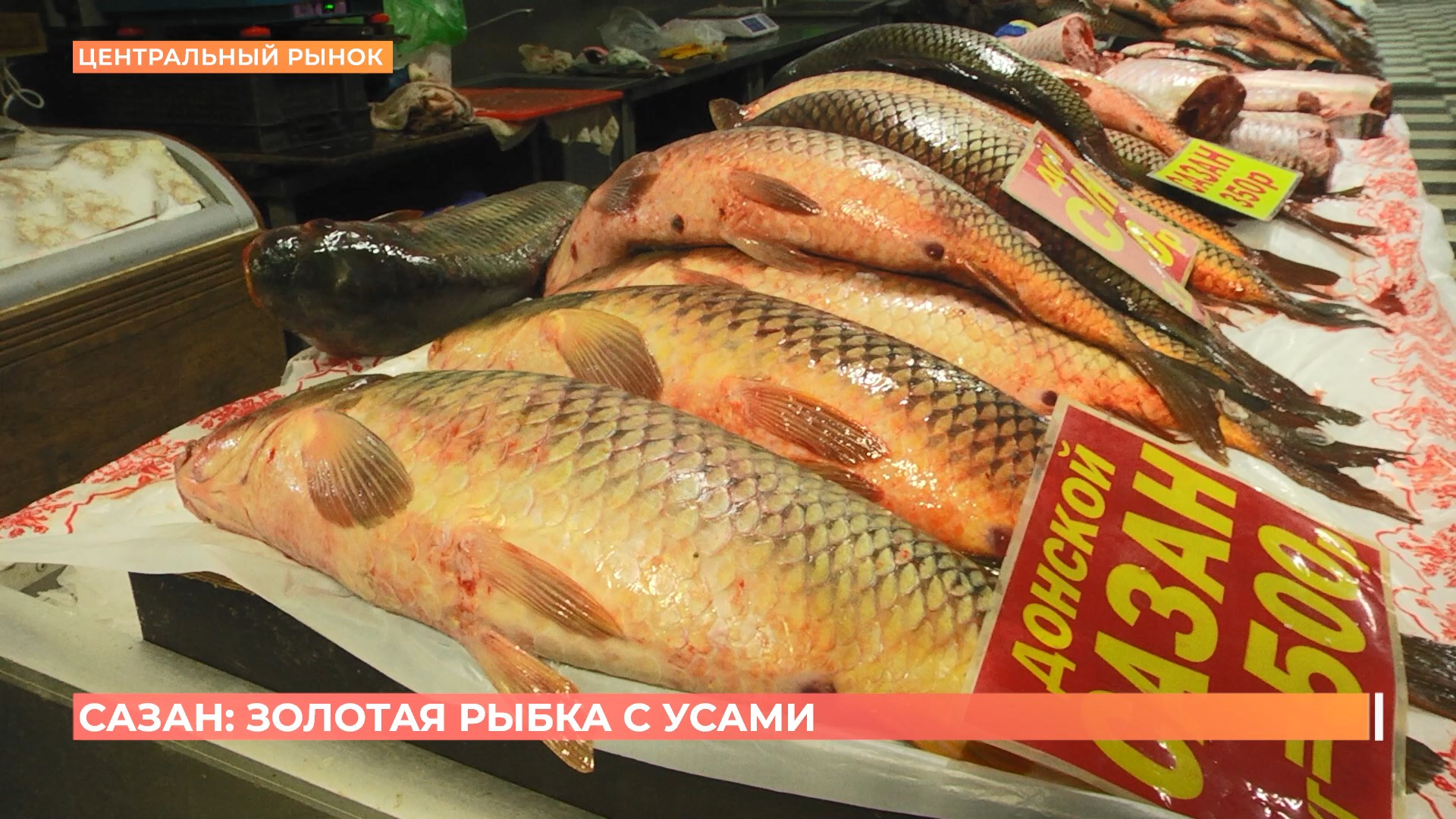 Старый базар. 7 февраля 2026