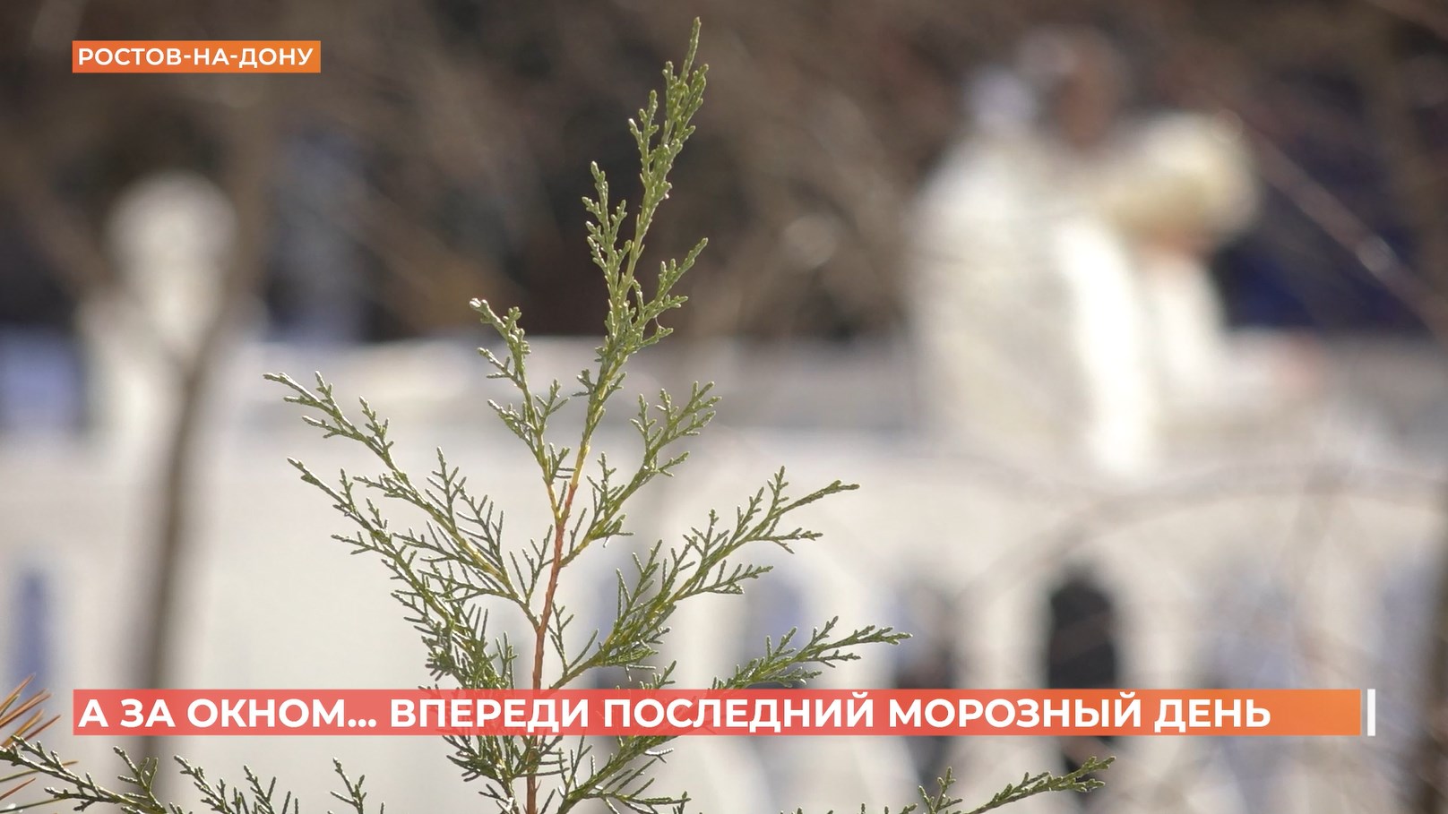 А за окном. 10 февраля 2026