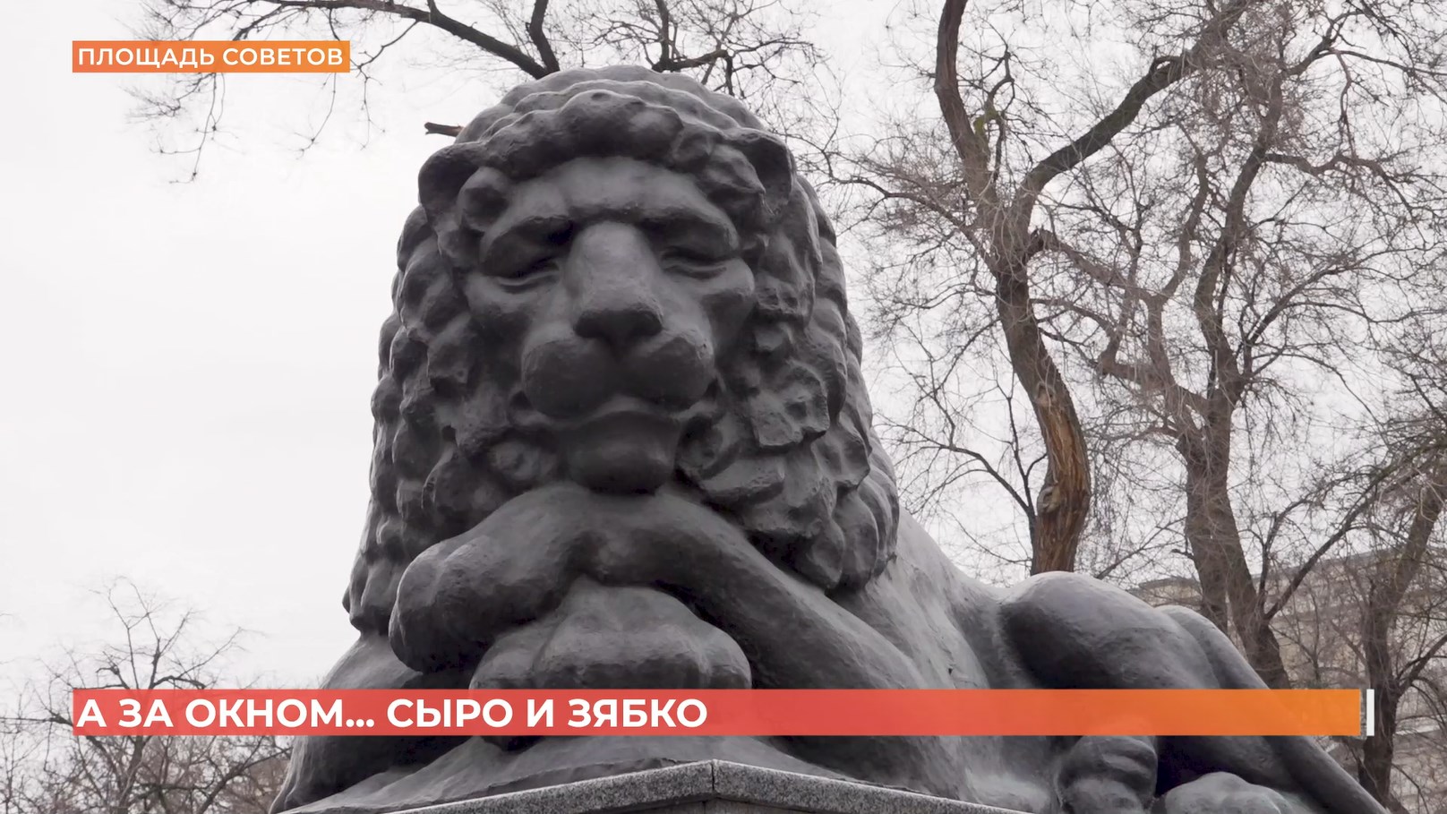 А за окном. 25 февраля 2026