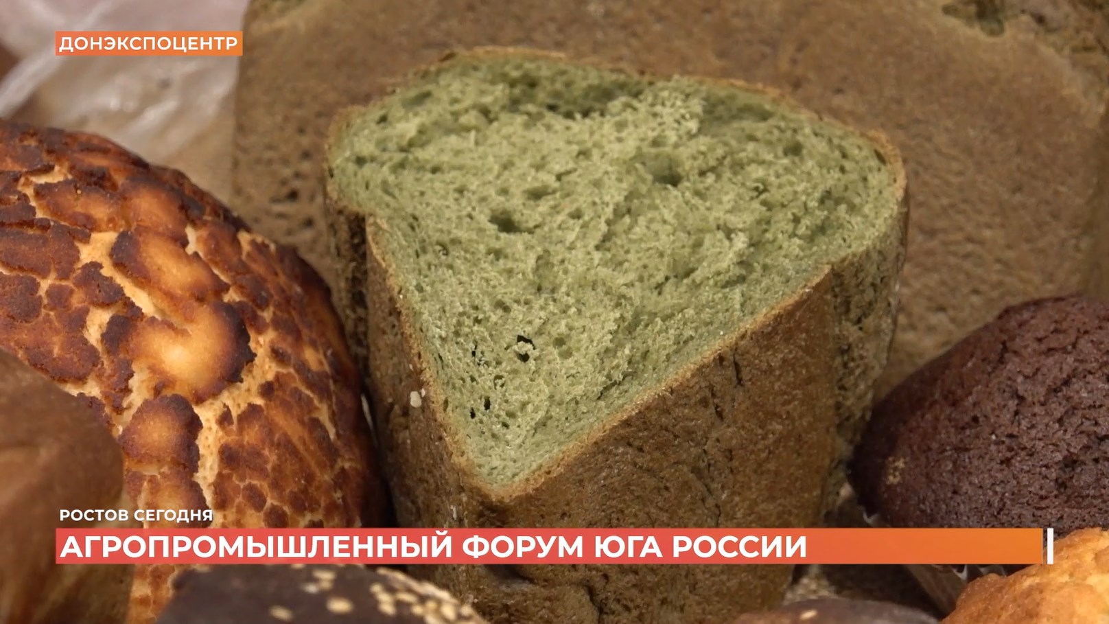 Ростов сегодня: дневной выпуск. 26 февраля 2026