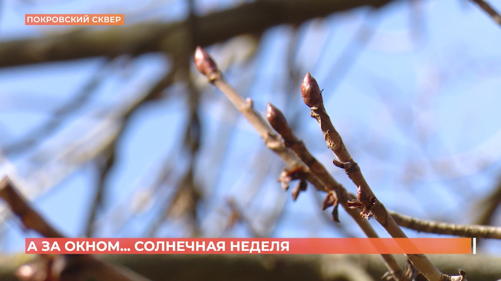А за окном. 10 марта 2026