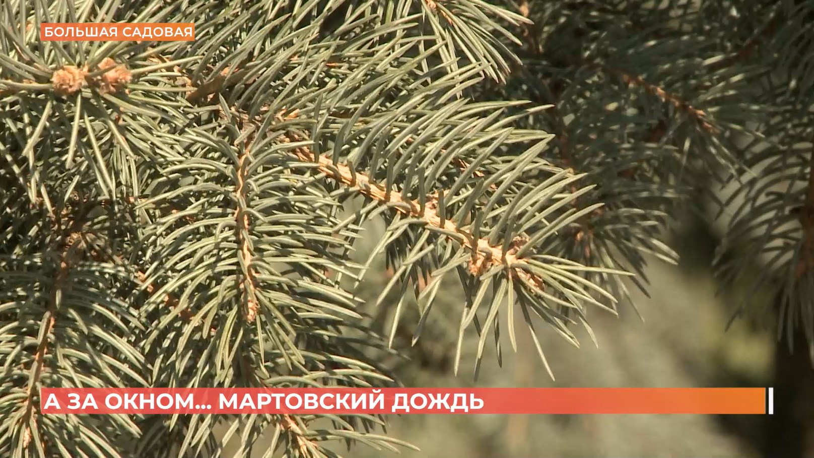 А за окном. 23 марта 2026