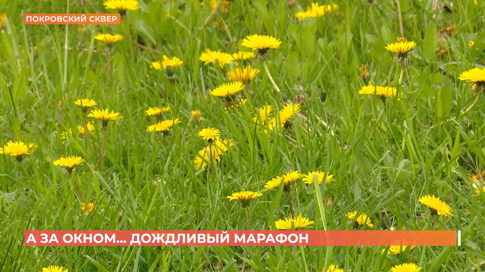 А за окном. 20 апреля 2026