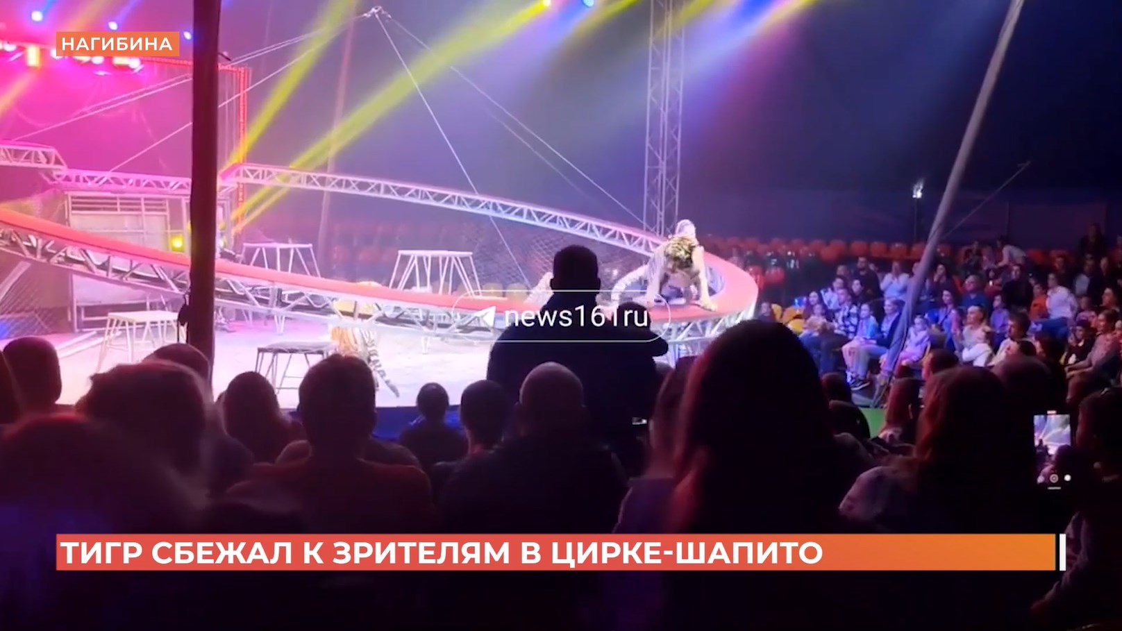 Ростовский городовой. 25 апреля 2026