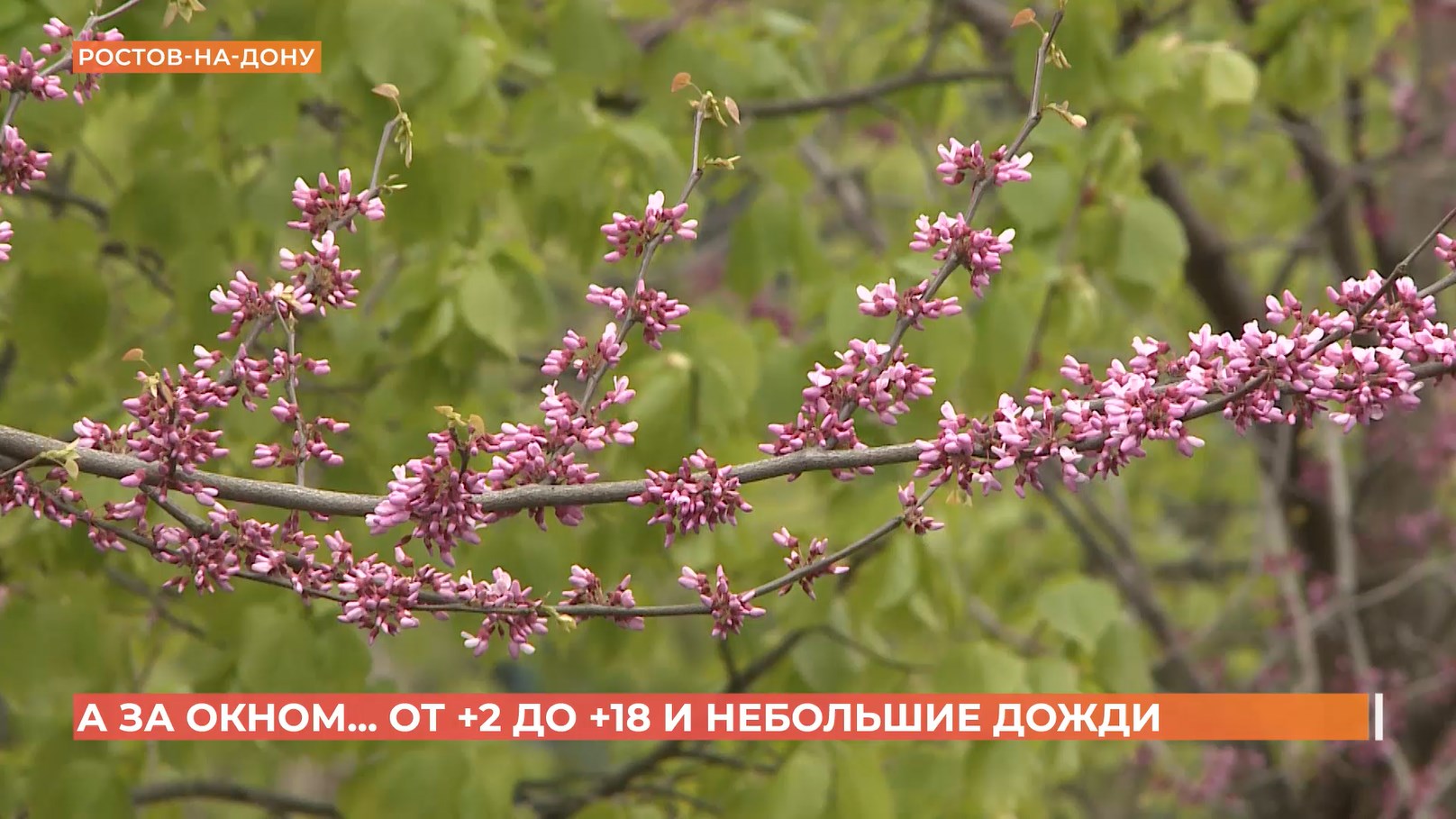 А за окном. 24 апреля 2026