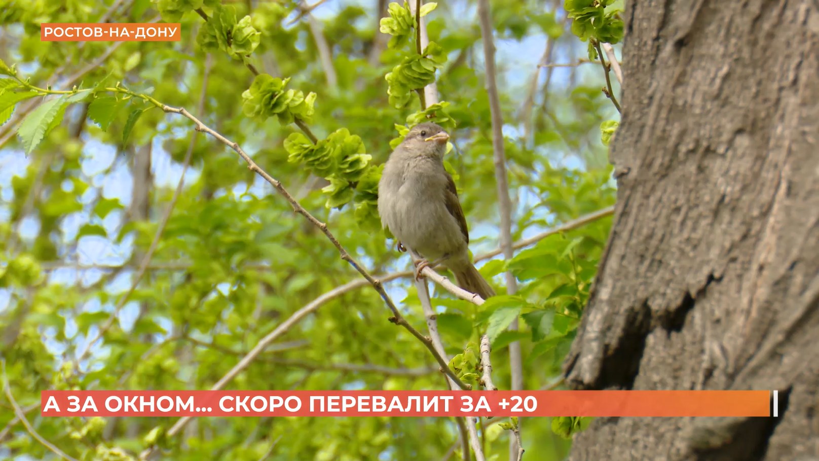 А за окном. 4 апреля 2026