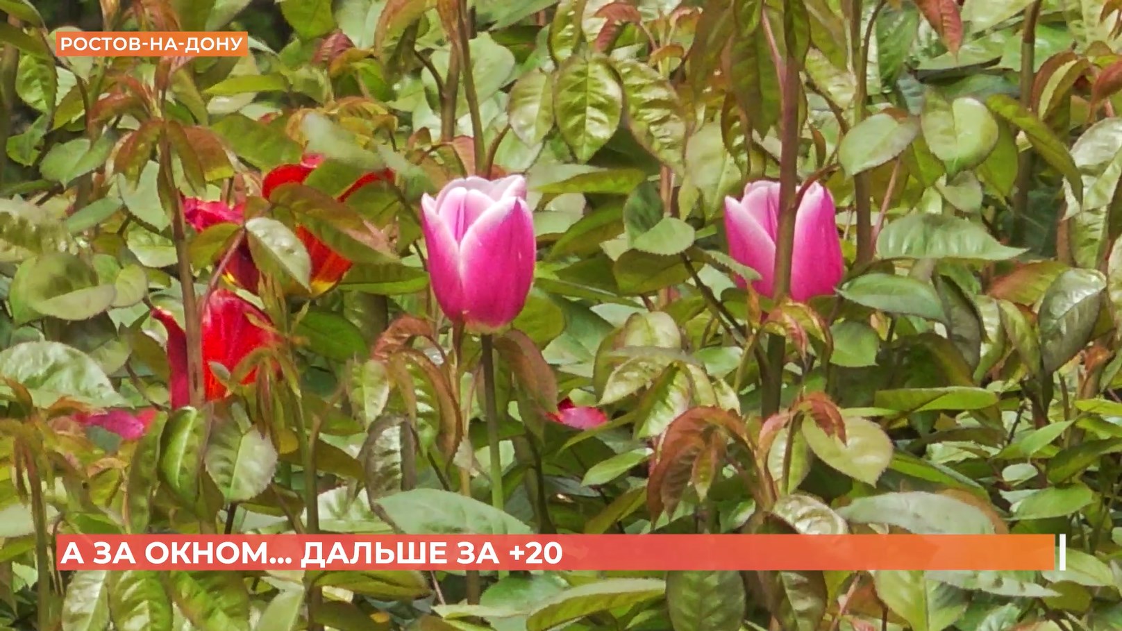 А за окном. 5 мая 2026