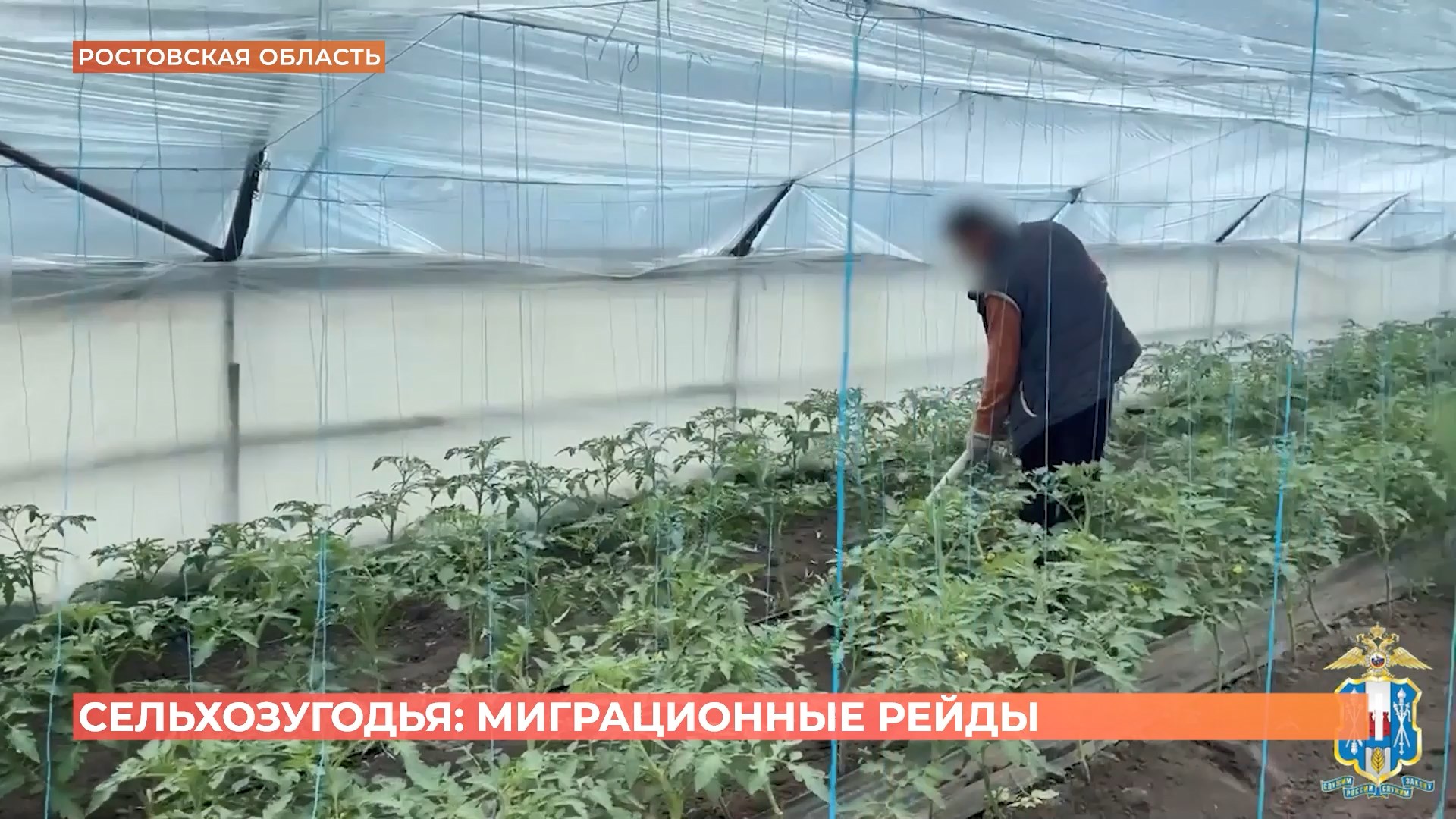 Ростовский городовой. 16 мая 2026