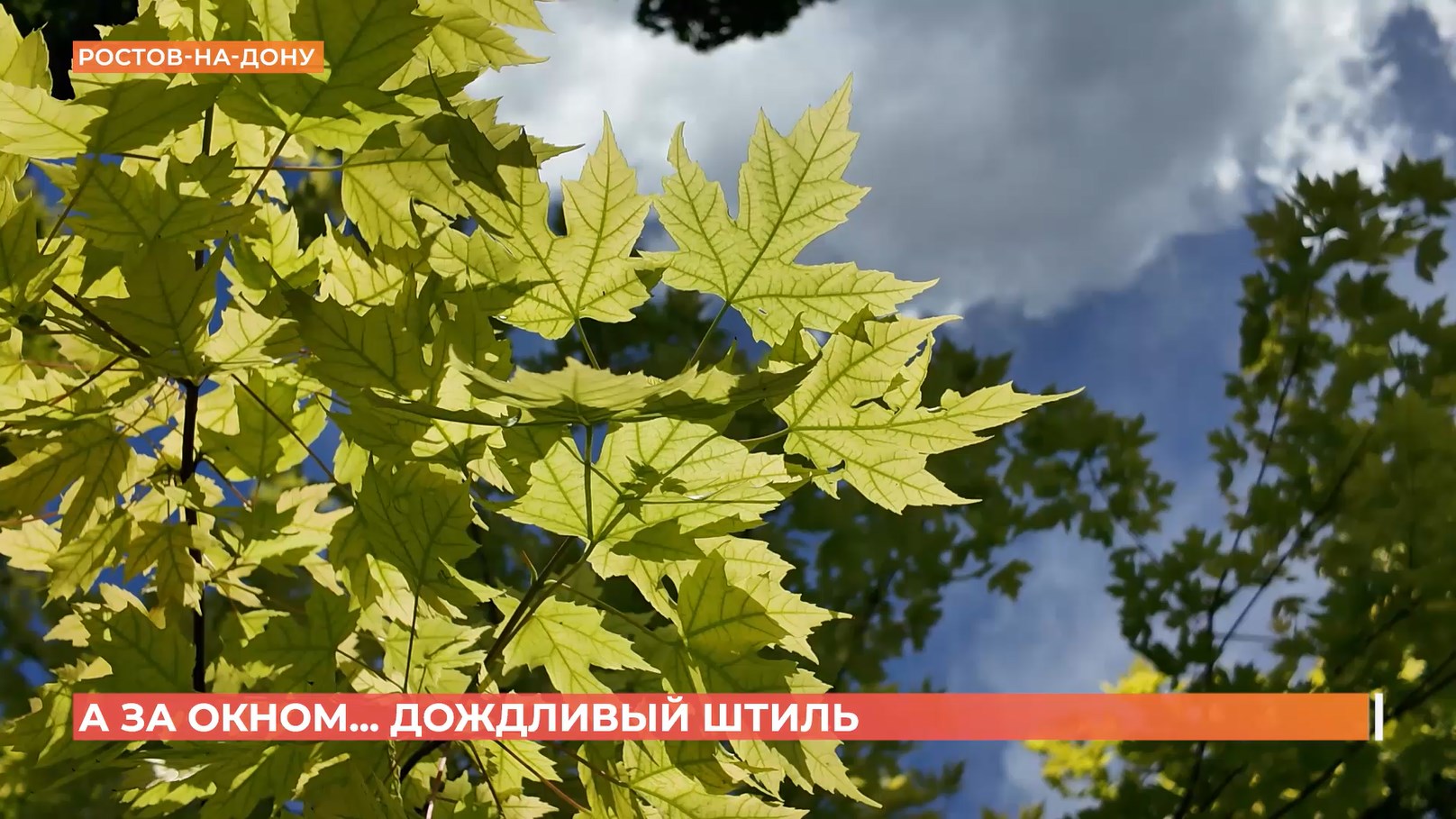 А за окном. 15 июня 2026