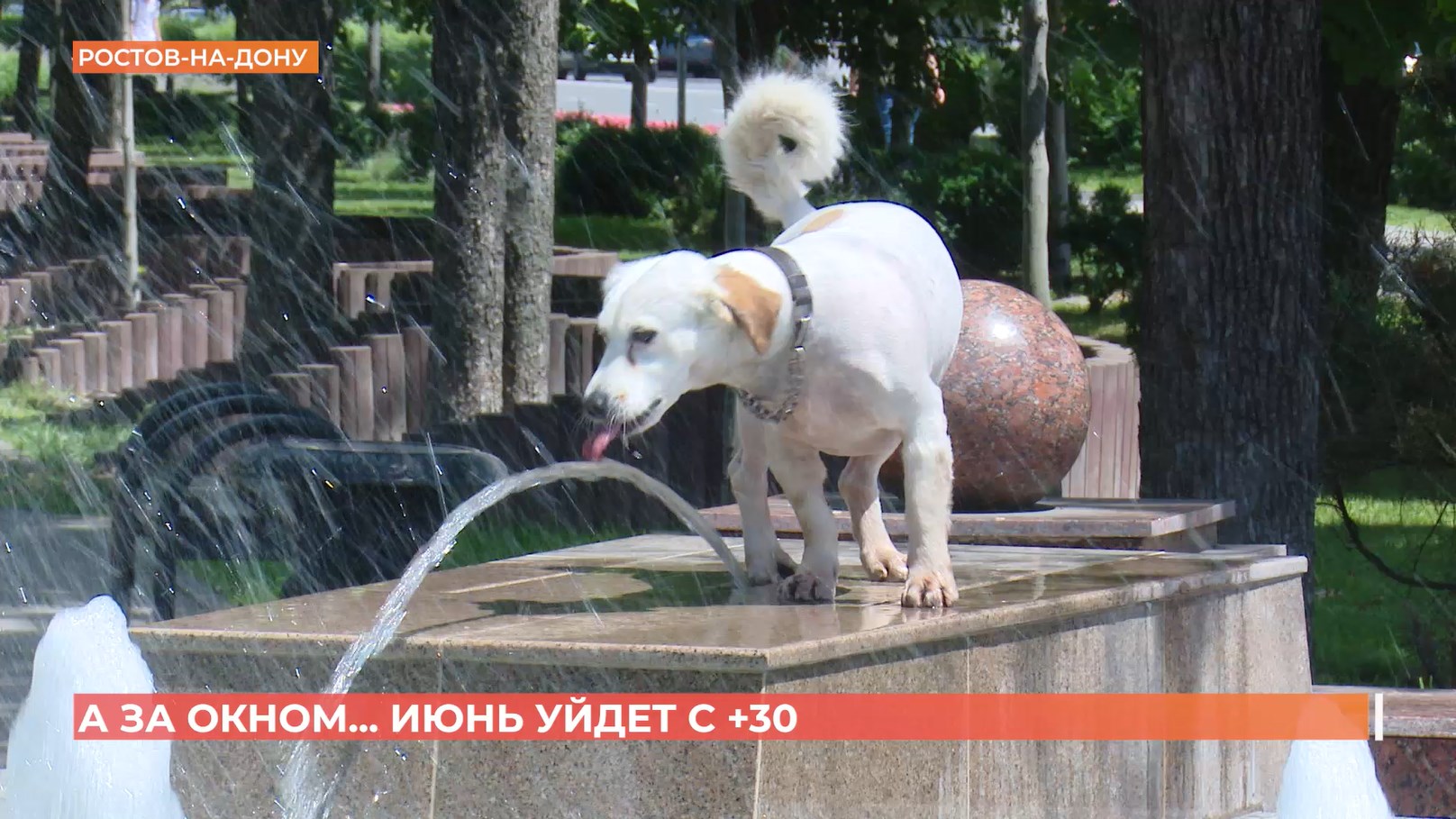 А за окном. 29 июля 2026