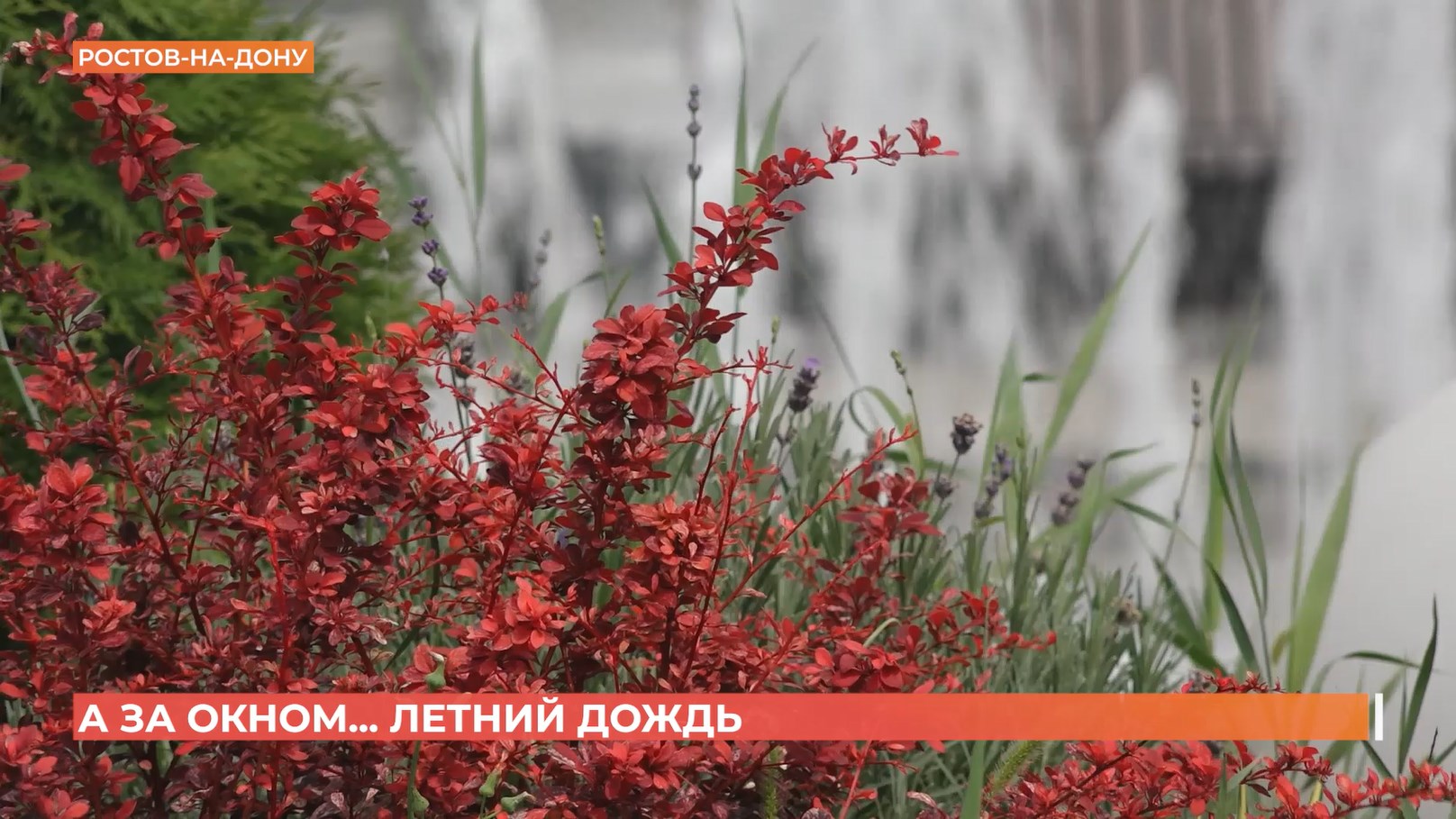 А за окном. 15 июля 2026