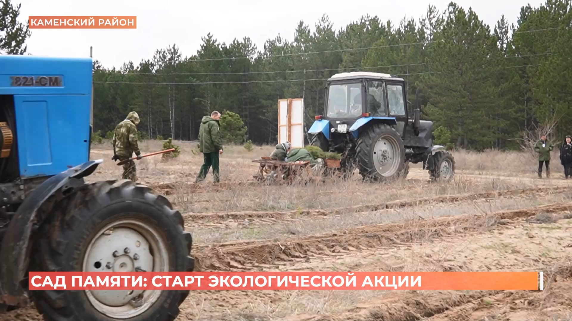 «Сад памяти»: экологическая акция стартовала на Дону