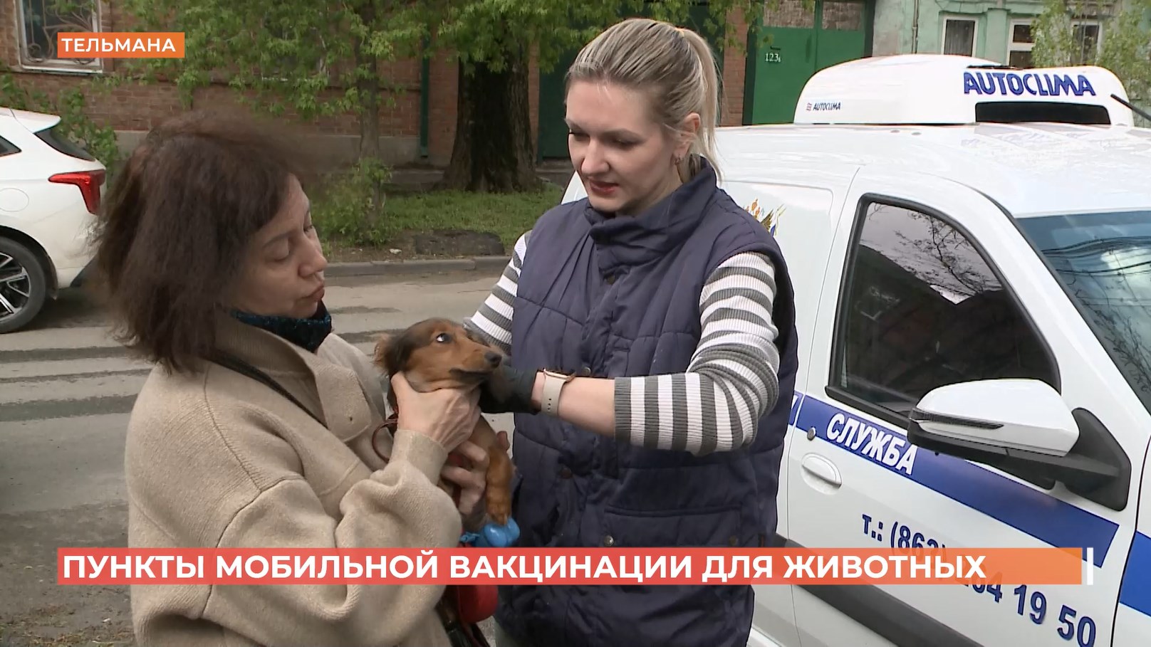 В Ростове проходит плановая весенняя выездная вакцинация животных