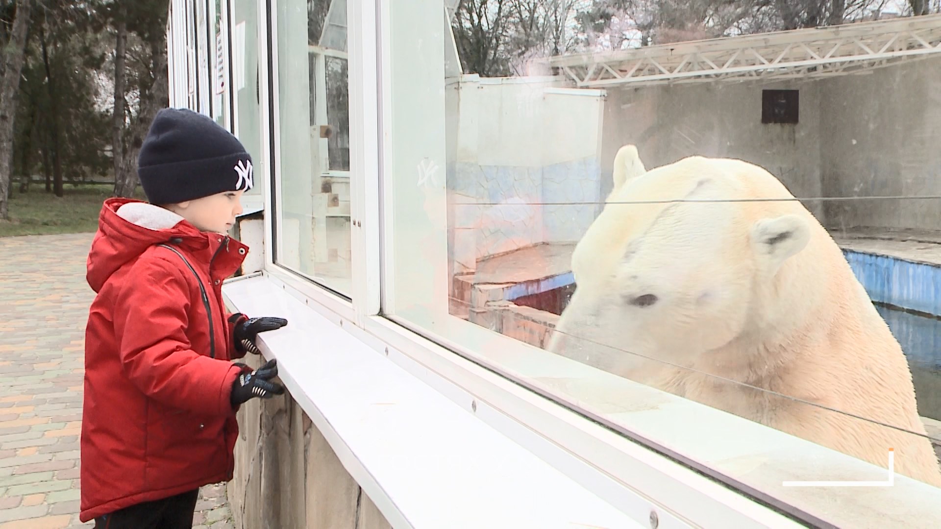 Более трехсот детей из Донбасса побывали в Ростовском зоопарке