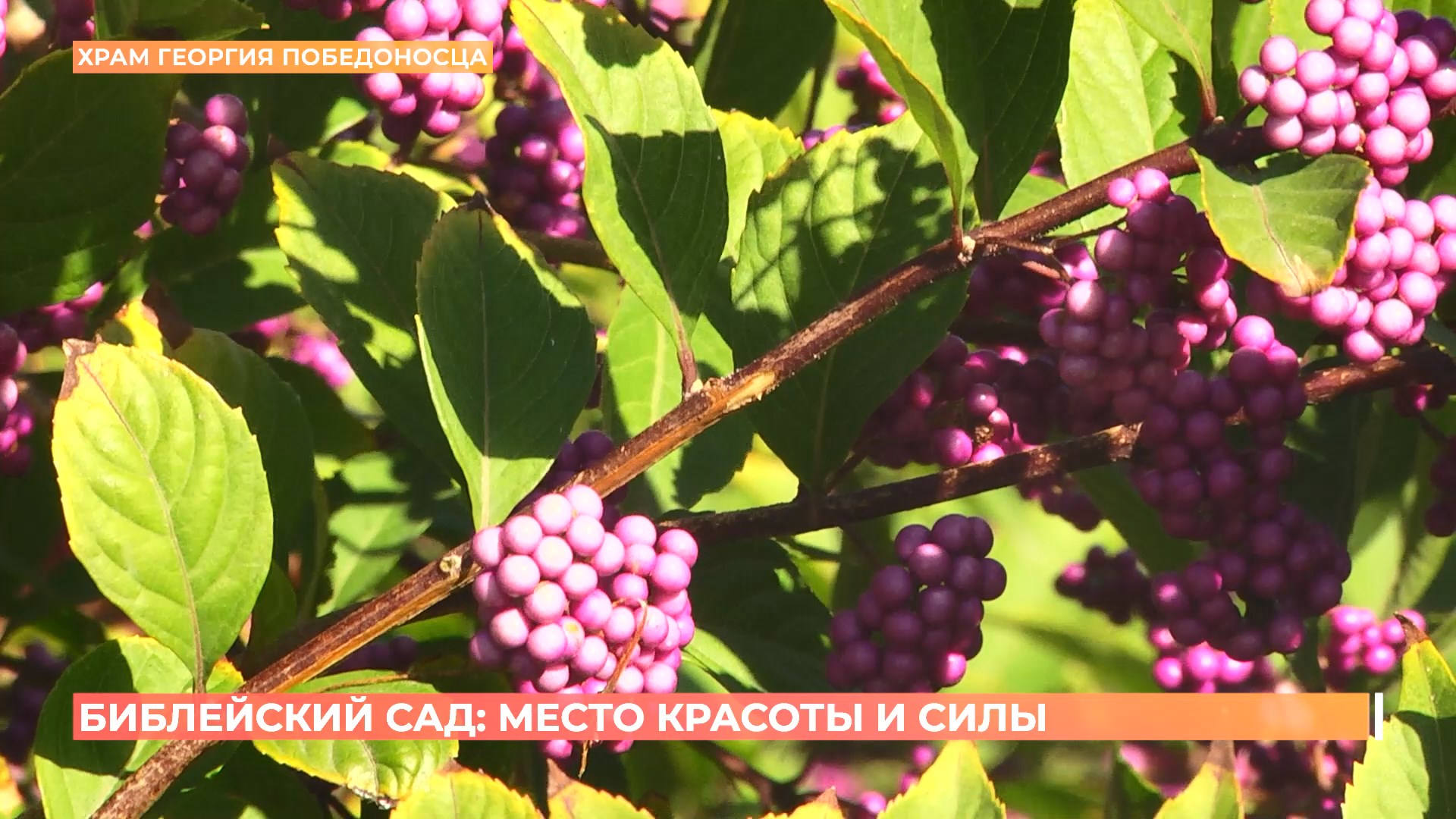 Библейский сад: мест красоты и силы