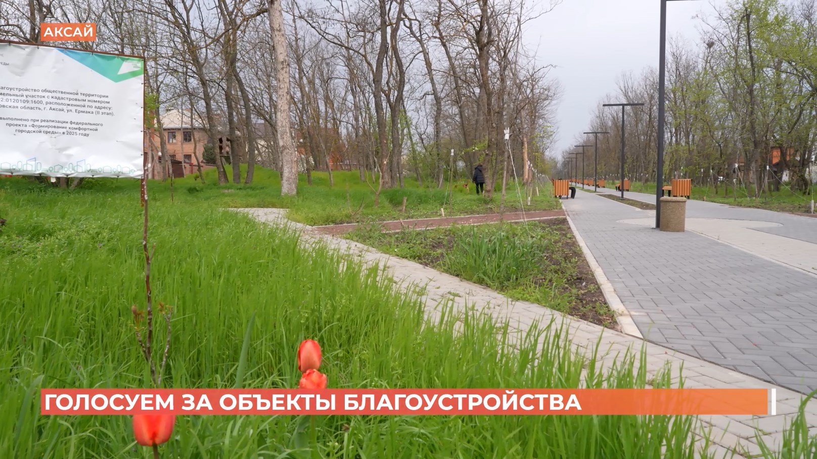 Из заброшенной лесополосы в современную пешеходную зону превратилась улица Ермака в Аксае