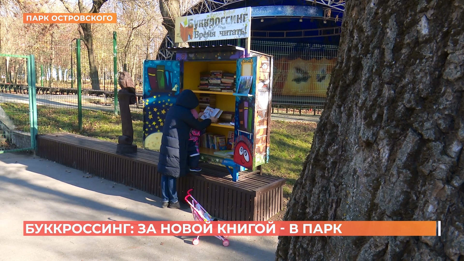 Шкафы с бесплатной литературой снова появились в ростовских парках