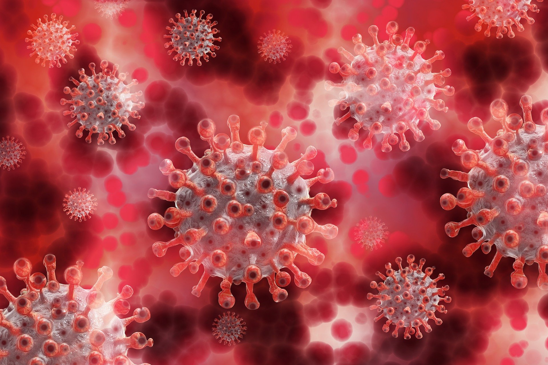 В ВОЗ заявили, что штамм «Дельта» в два раза заразнее изначального коронавируса