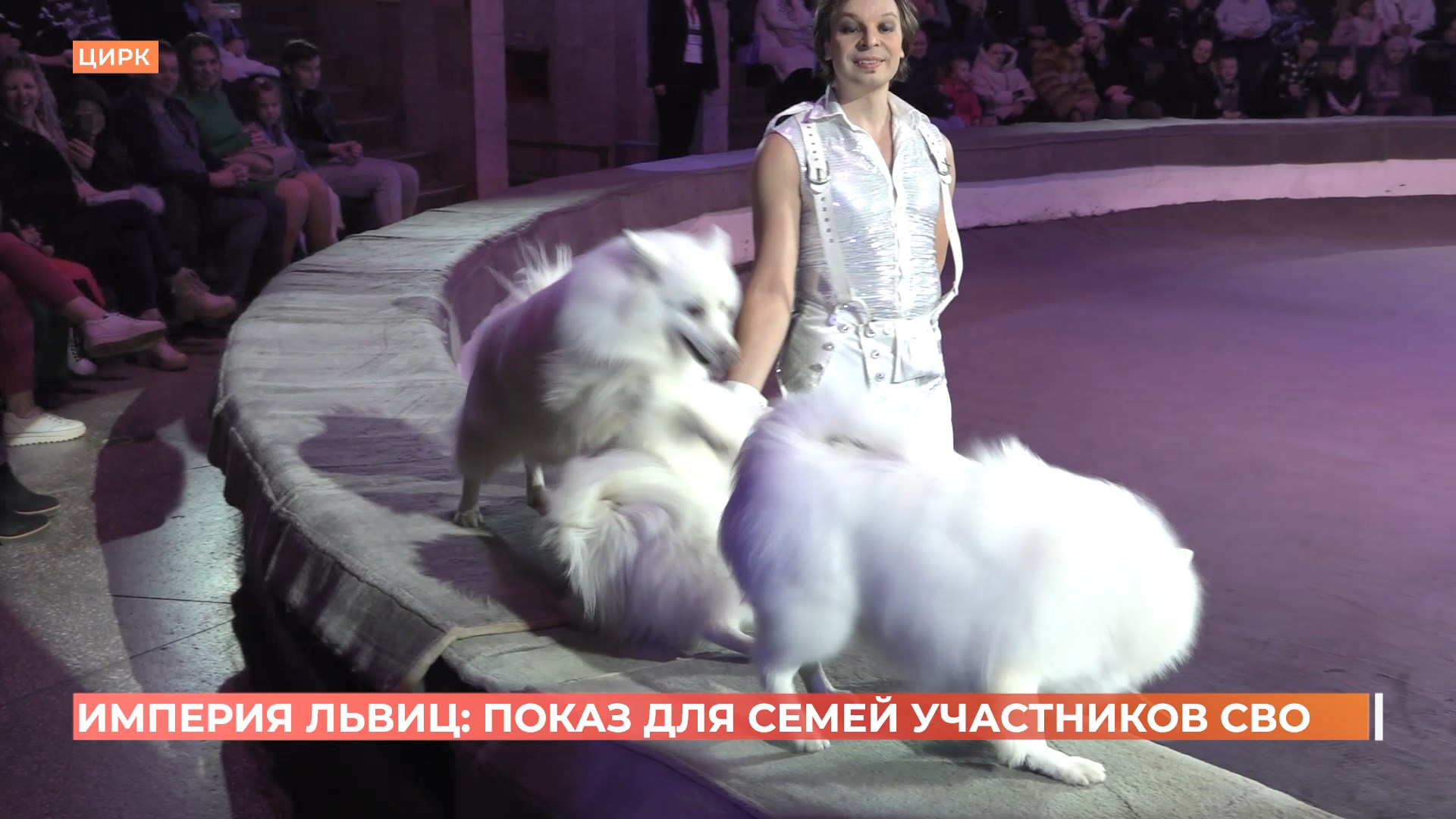 «Империя львиц» дала в Ростове благотворительное цирковое представление для семей участников СВО