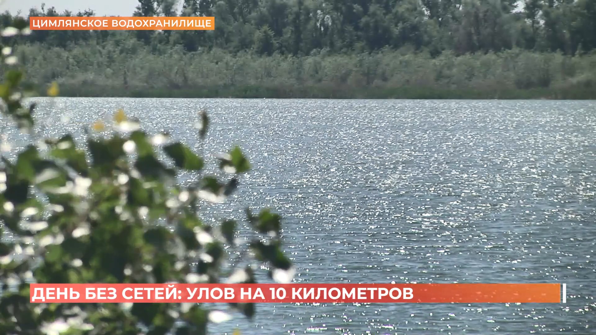 «День без сетей»: 10 километров ловушек вытянули из Цимлянского водохранилища