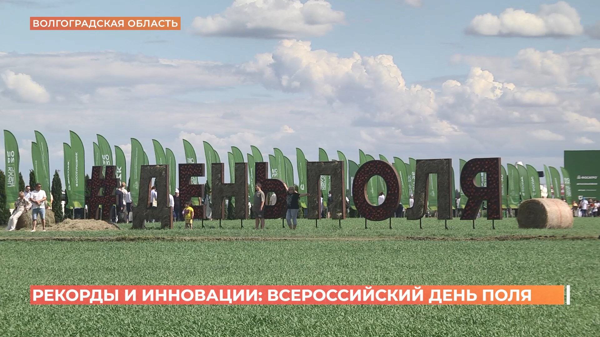 Всероссийский день поля прошел в Волгоградской области