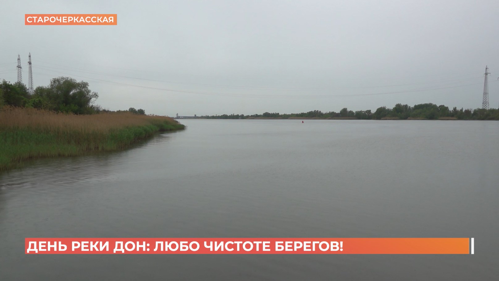 День реки Дон — экологический праздник с уборкой мусора с берегов