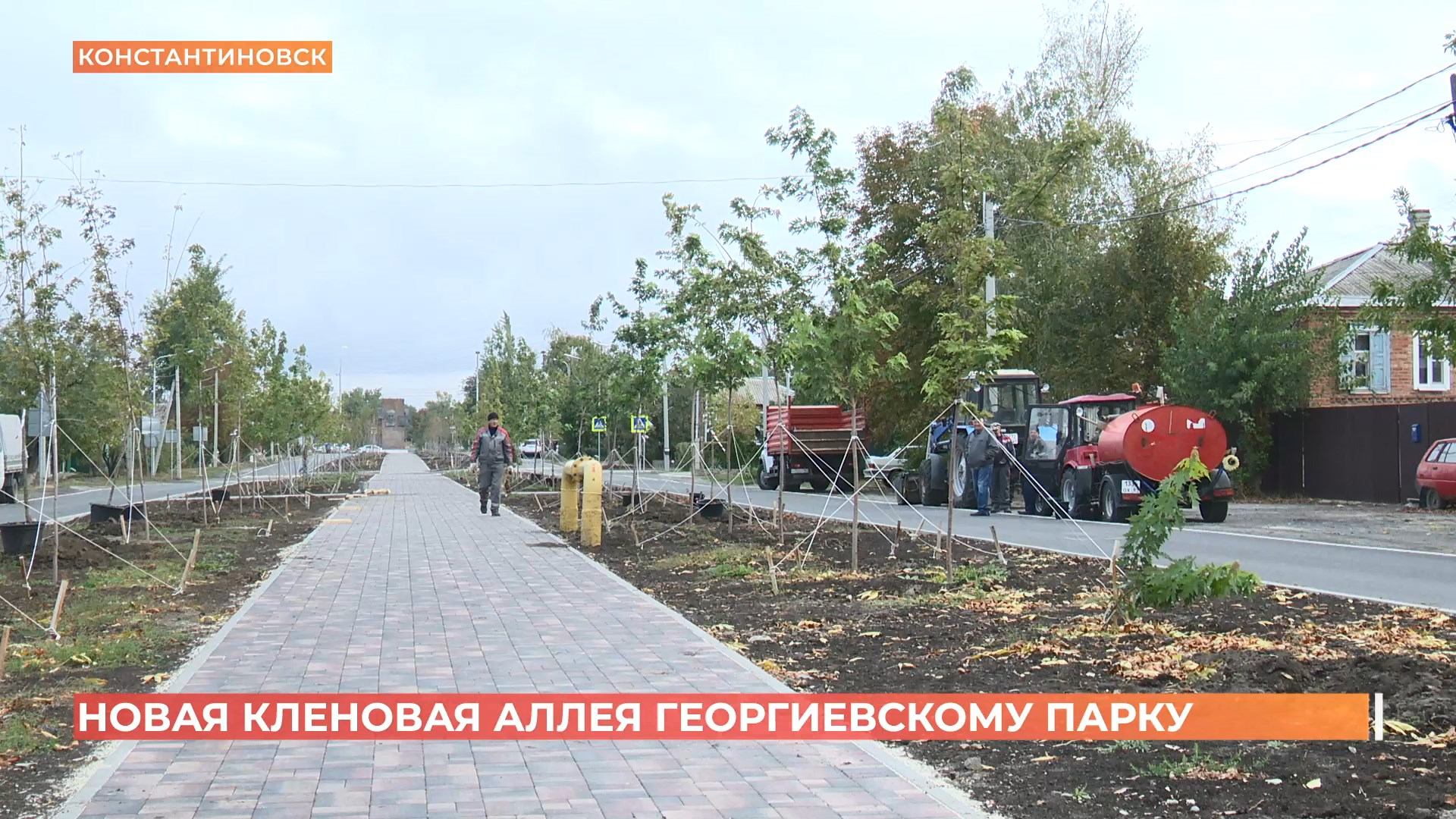 В Константиновске в День древонасаждения в Георгиевском парке появилась кленовая аллея