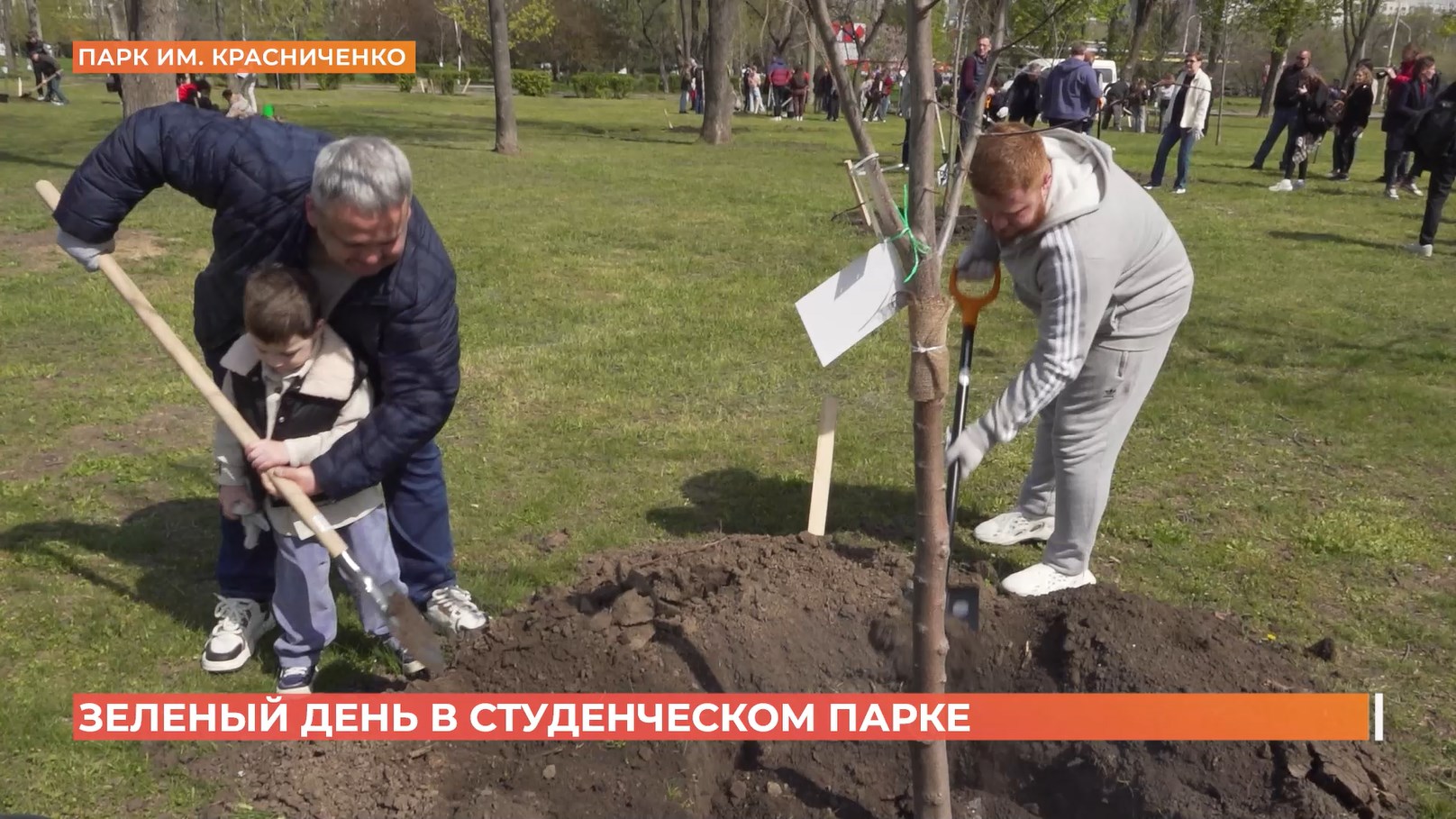 Студенческий парк ДГТУ стал одной из главных городских площадок в весенний день древонасаждения