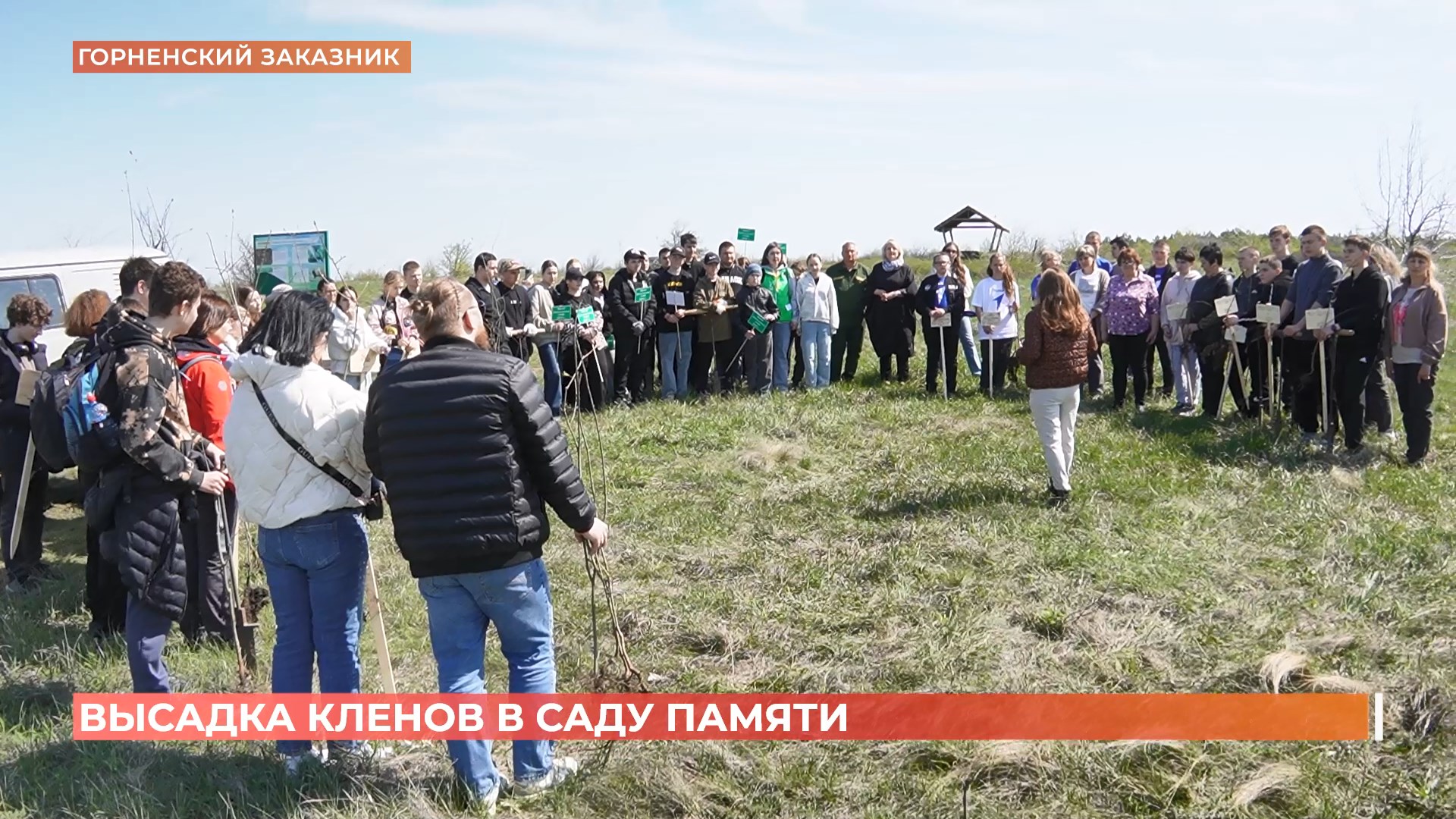 Юные экологи из Ростова и Красносулинского района высадили 80 клёнов в Горненском заказнике