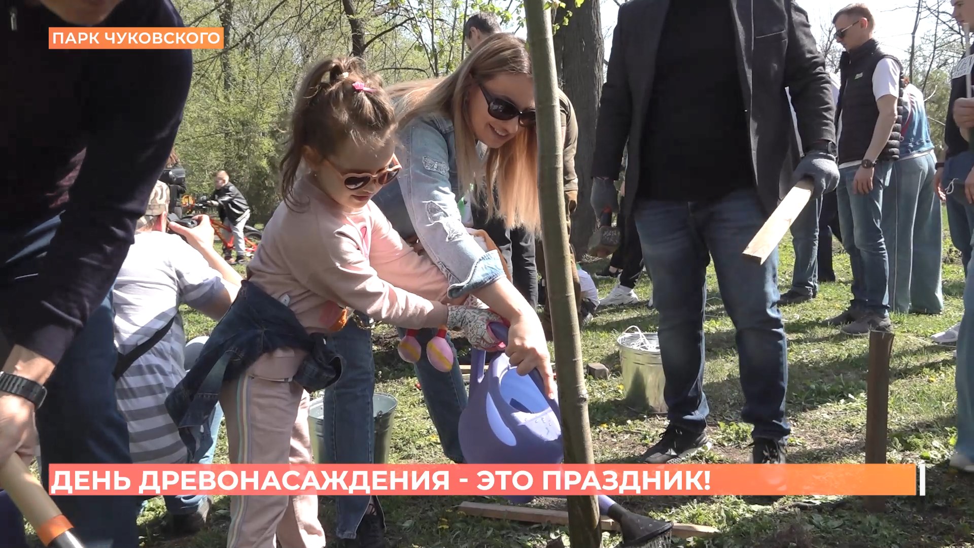 Праздник устроили в День древонасаждения в ростовском парке им. Чуковского
