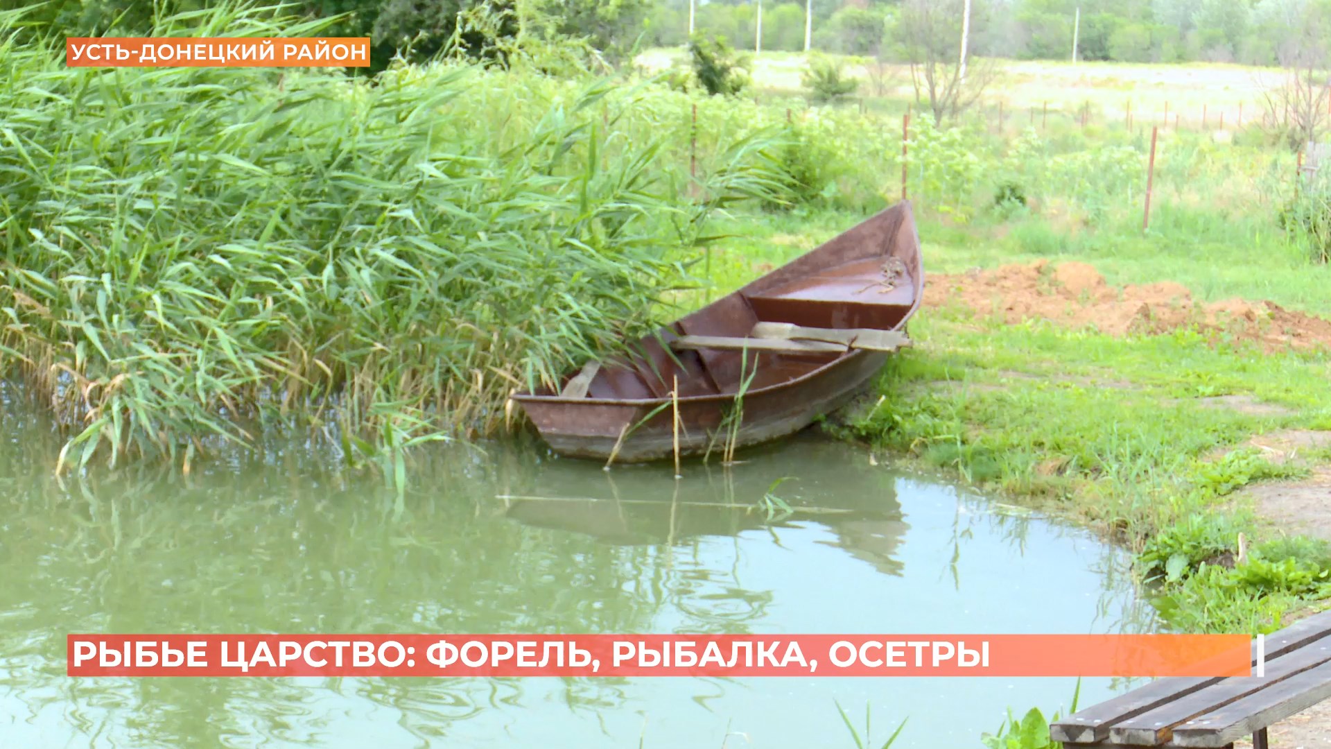 Рыбалка на осетра и форель в Усть-Донецком районе