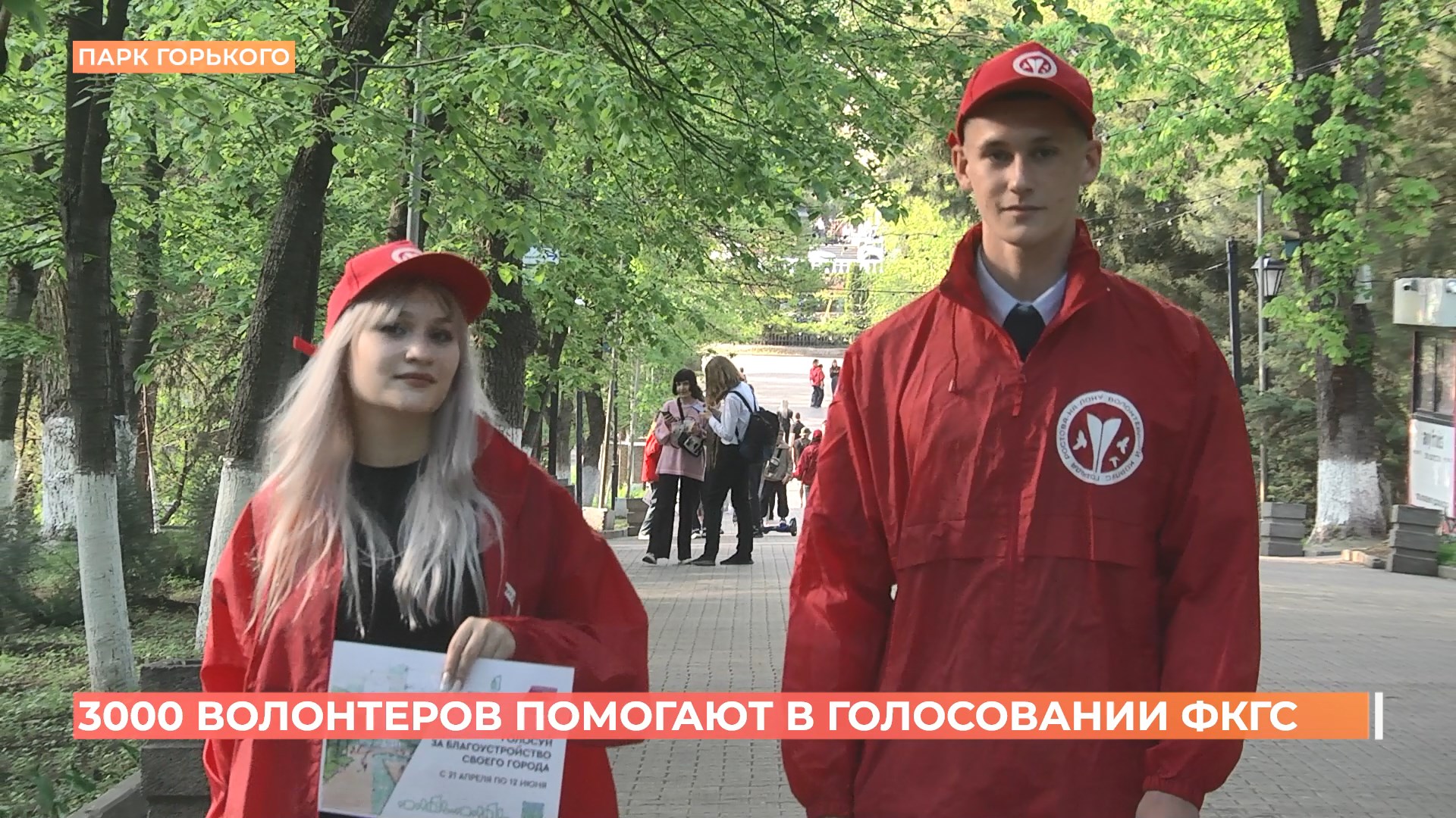 3000 волонтеров помогают в голосовании ФКГС