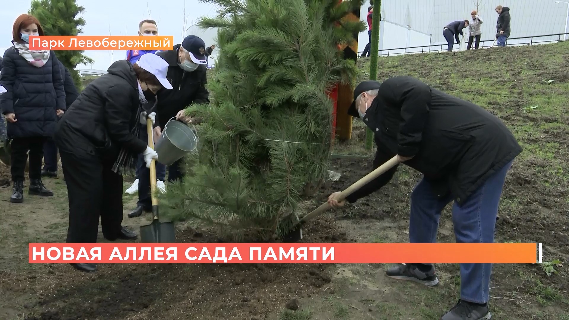 Каждому погибшему герою — по дереву: новую аллею Сада Памяти высадили в Ростове