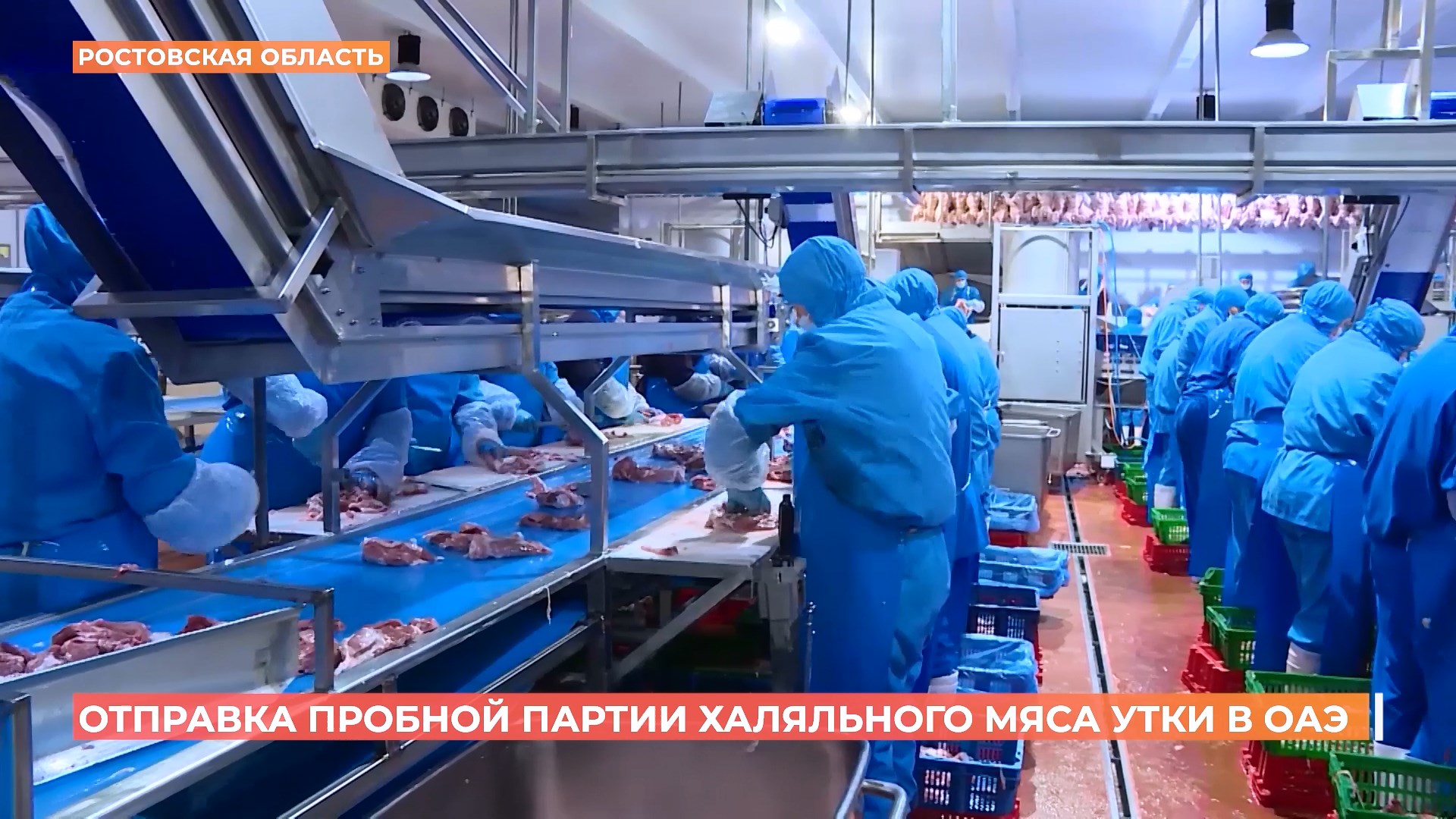 Ростовская халяльная утка теперь будет основой для блюд в ресторанах ОАЭ